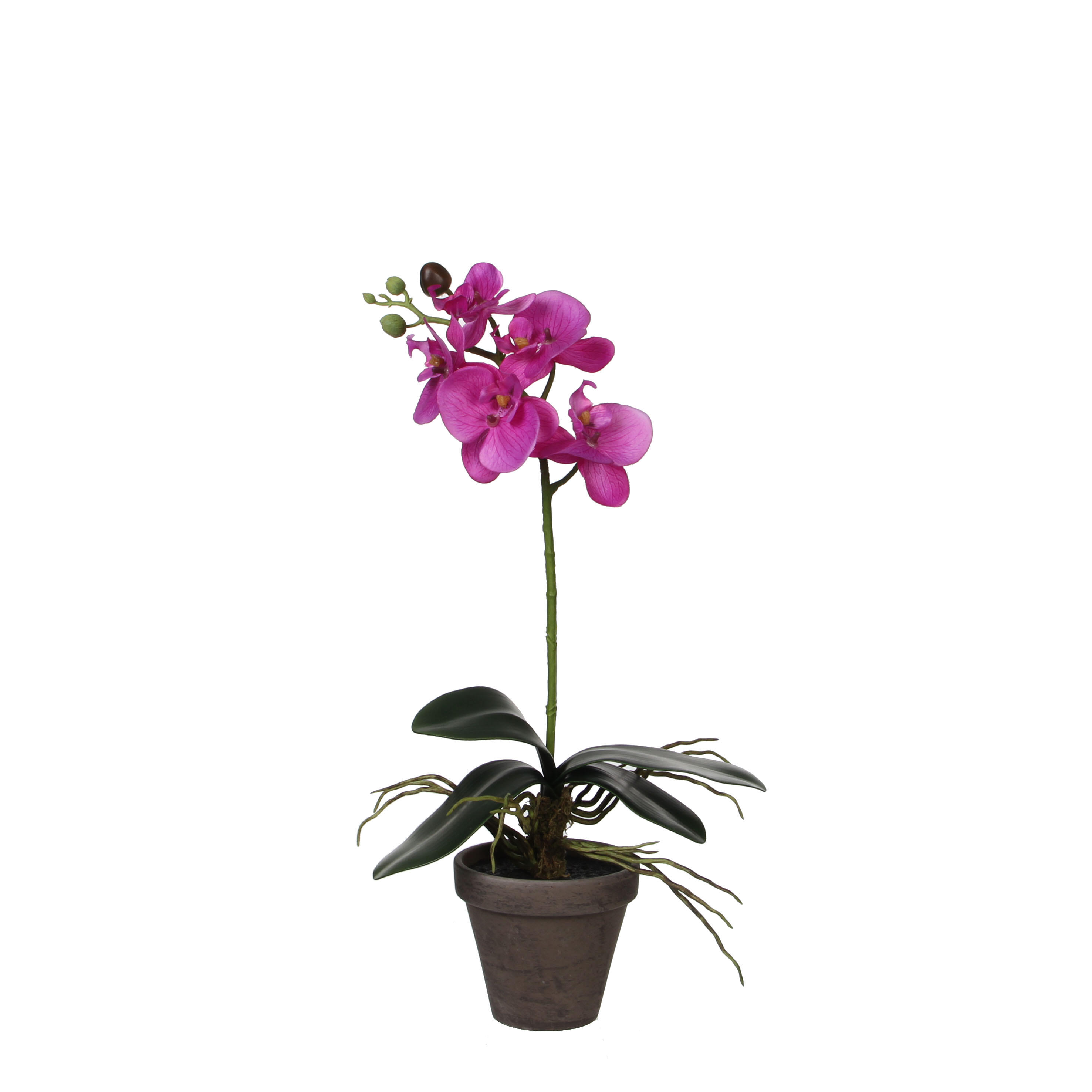 Planta artificial phalaenopsis morada 48cm
