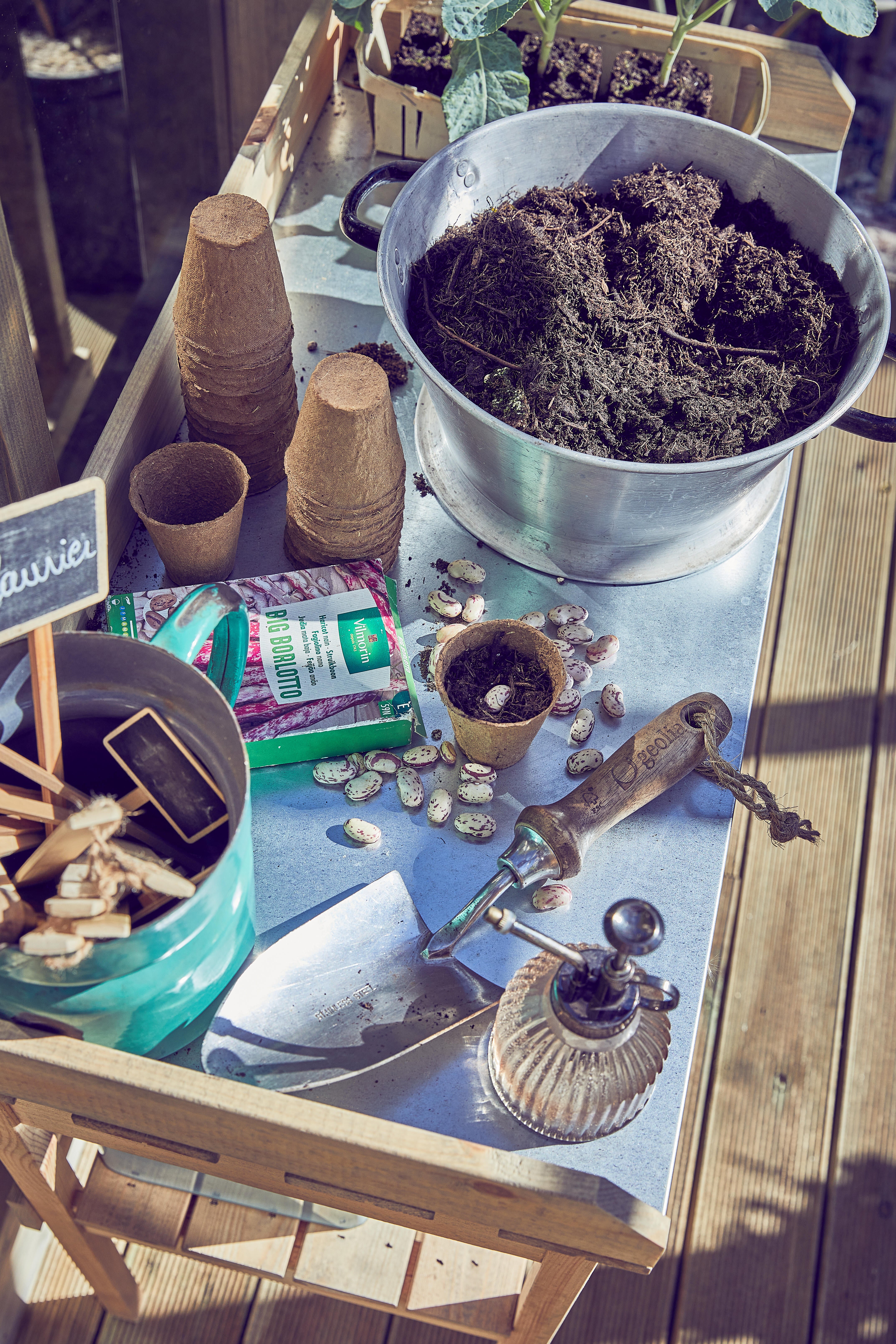 Pá GEOLIA 1 MÃO MADEIRA - 7