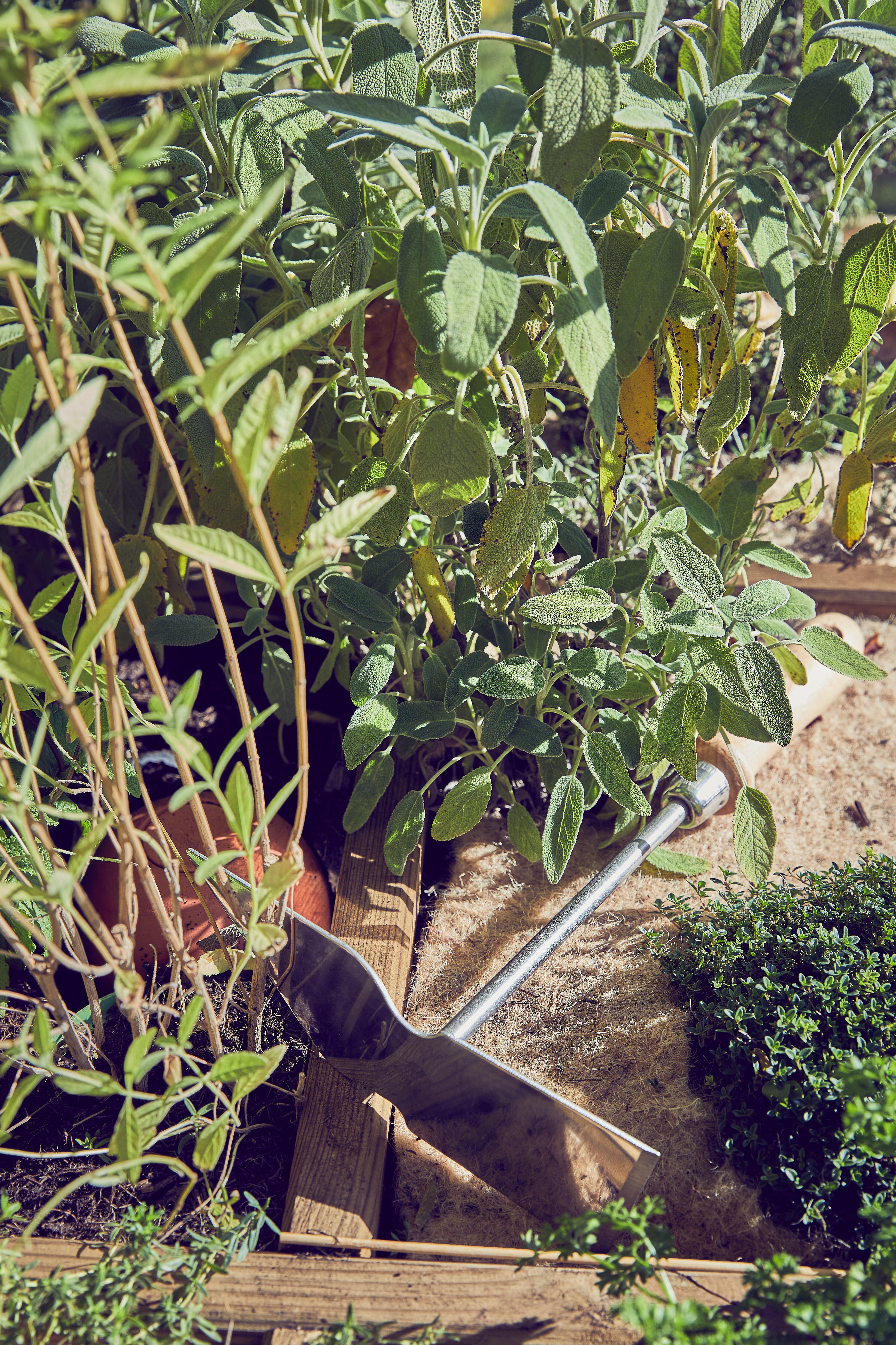 Enxada GEOLIA 1 MÃO MADEIRA - 4