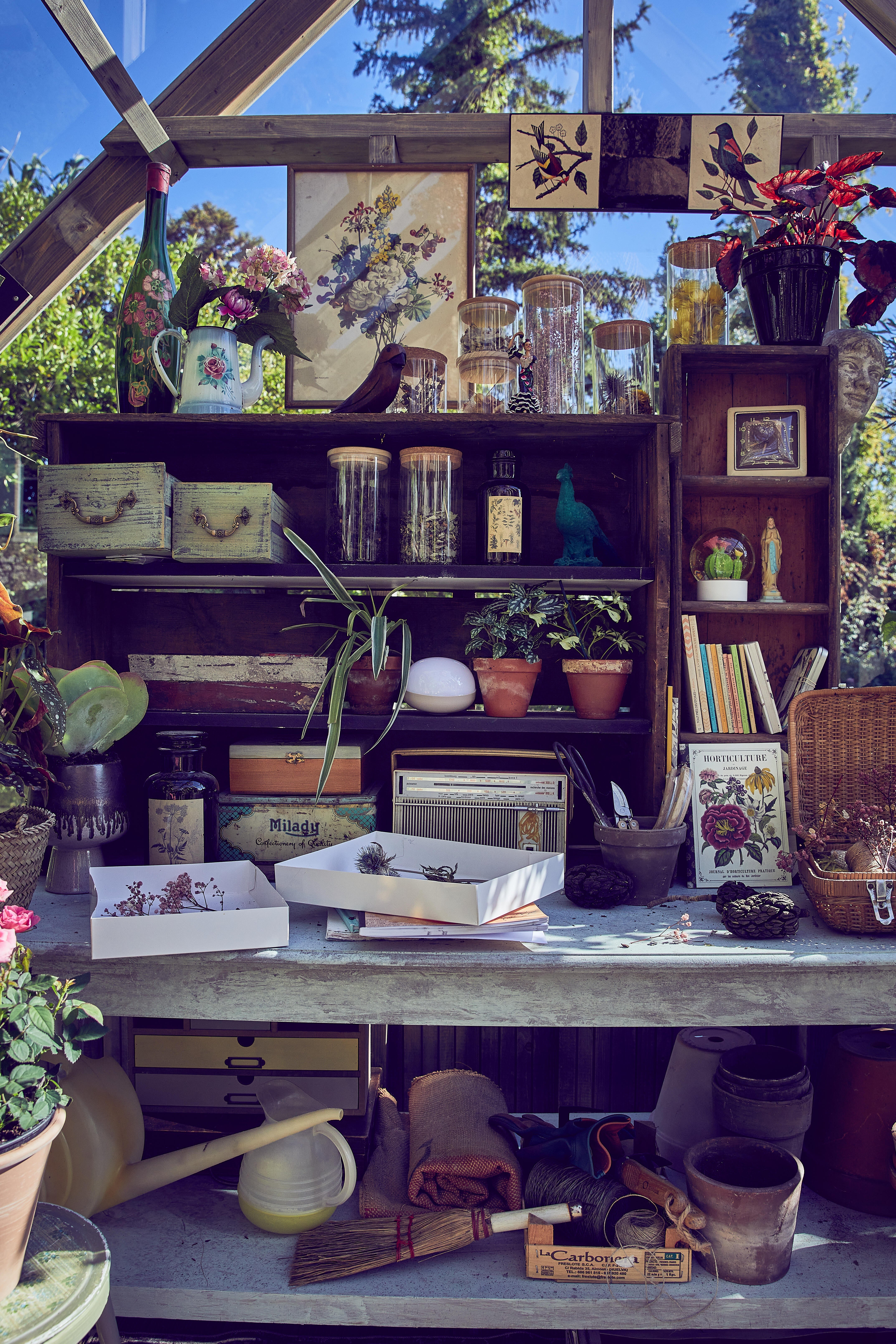 Serre bois PALMAKO Emilia autoclave gris, 8.2 m² verre trempé - 6