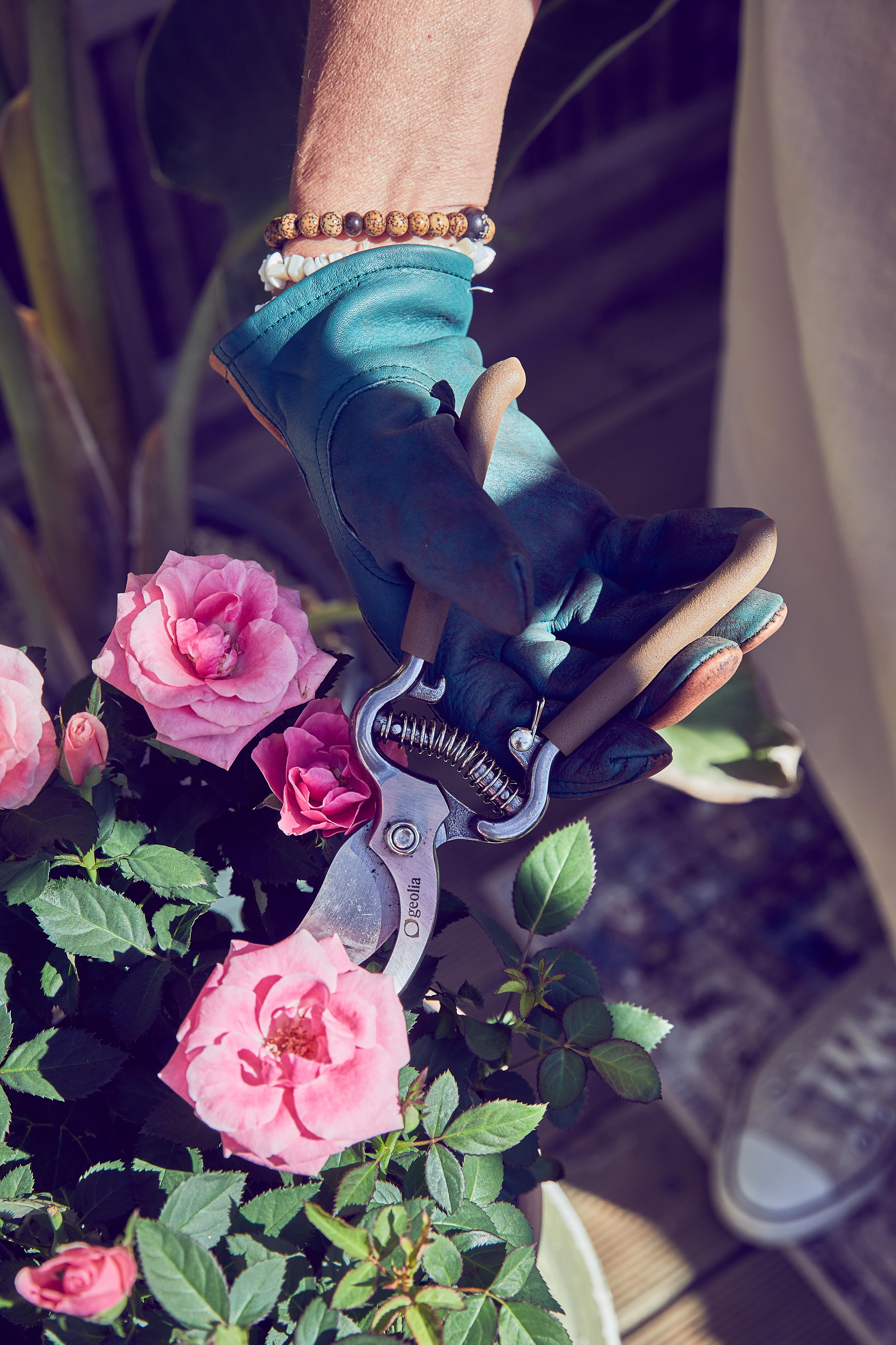 Sécateur acier GEOLIA, Diam.18 mm - 6