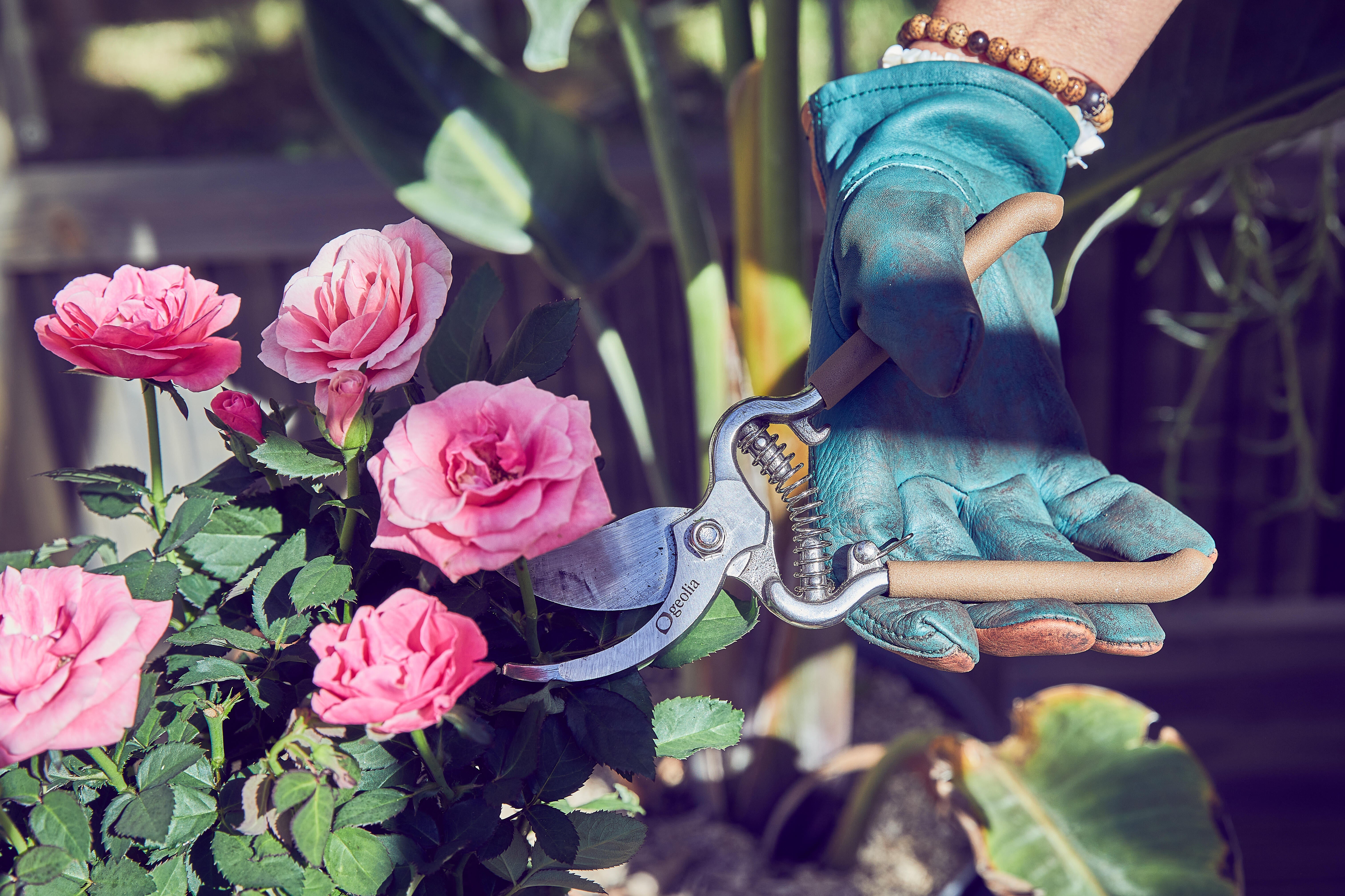 Sécateur acier GEOLIA, Diam.18 mm - 4