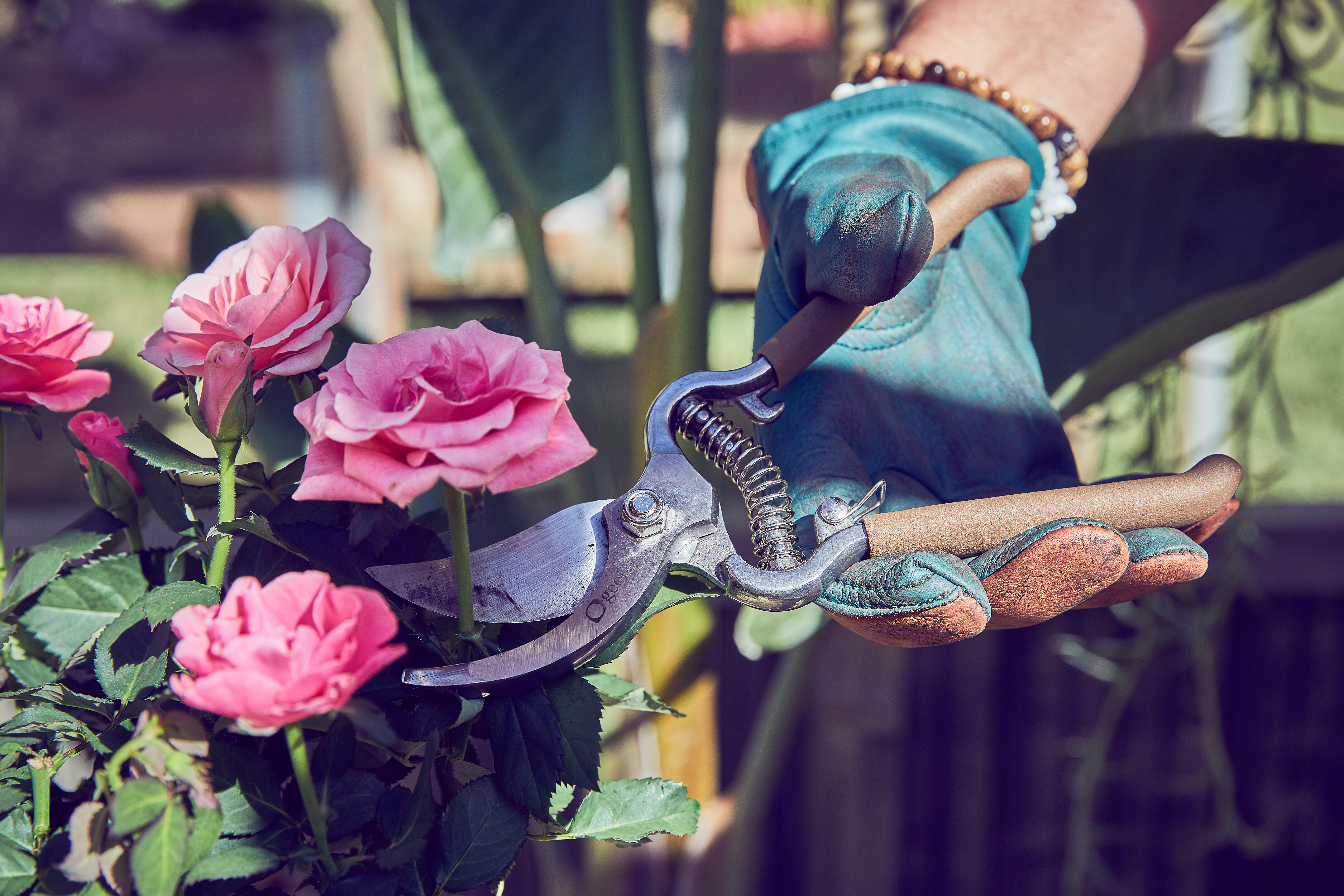 Sécateur acier GEOLIA, Diam.18 mm - 2