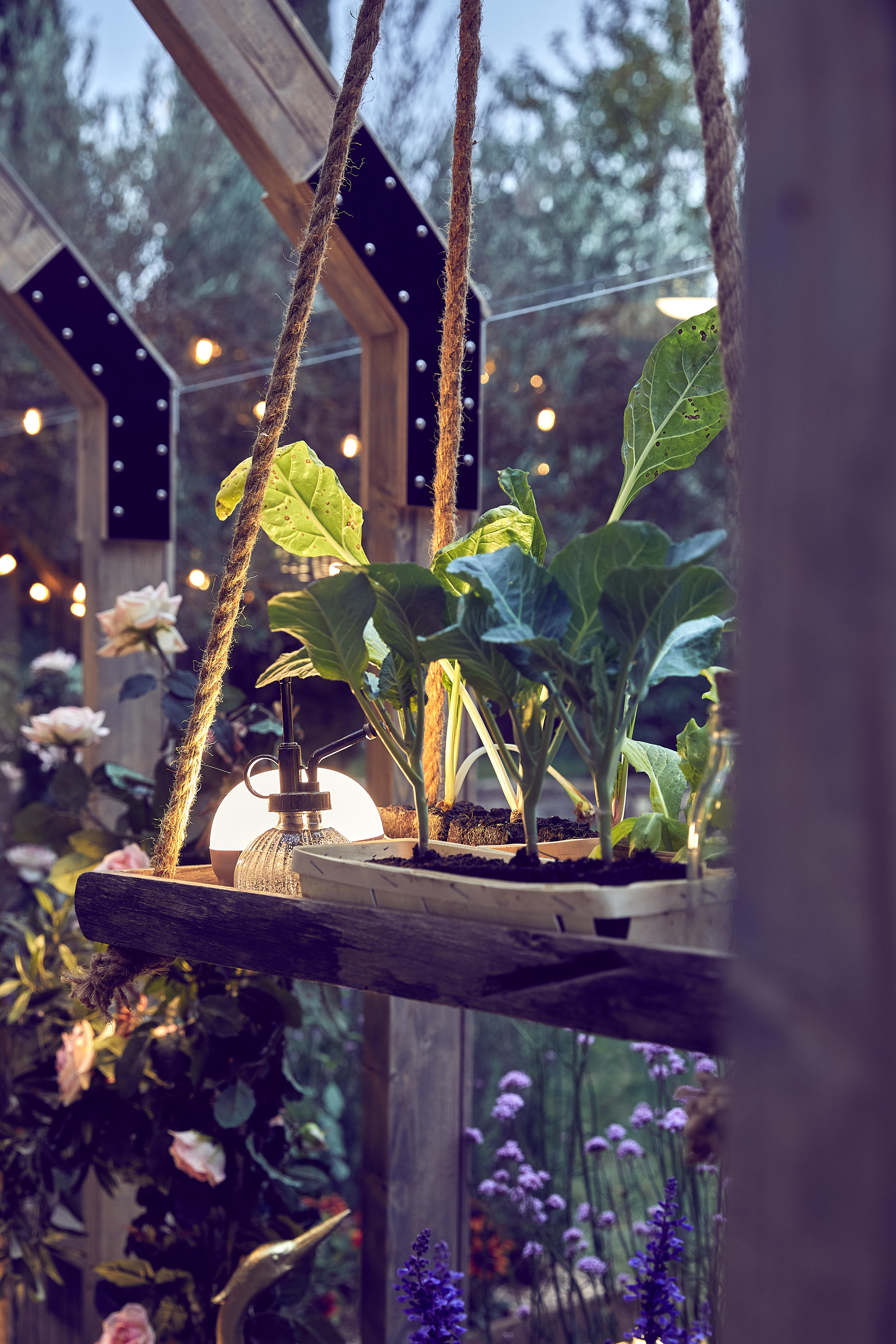 photo d'une jardinière