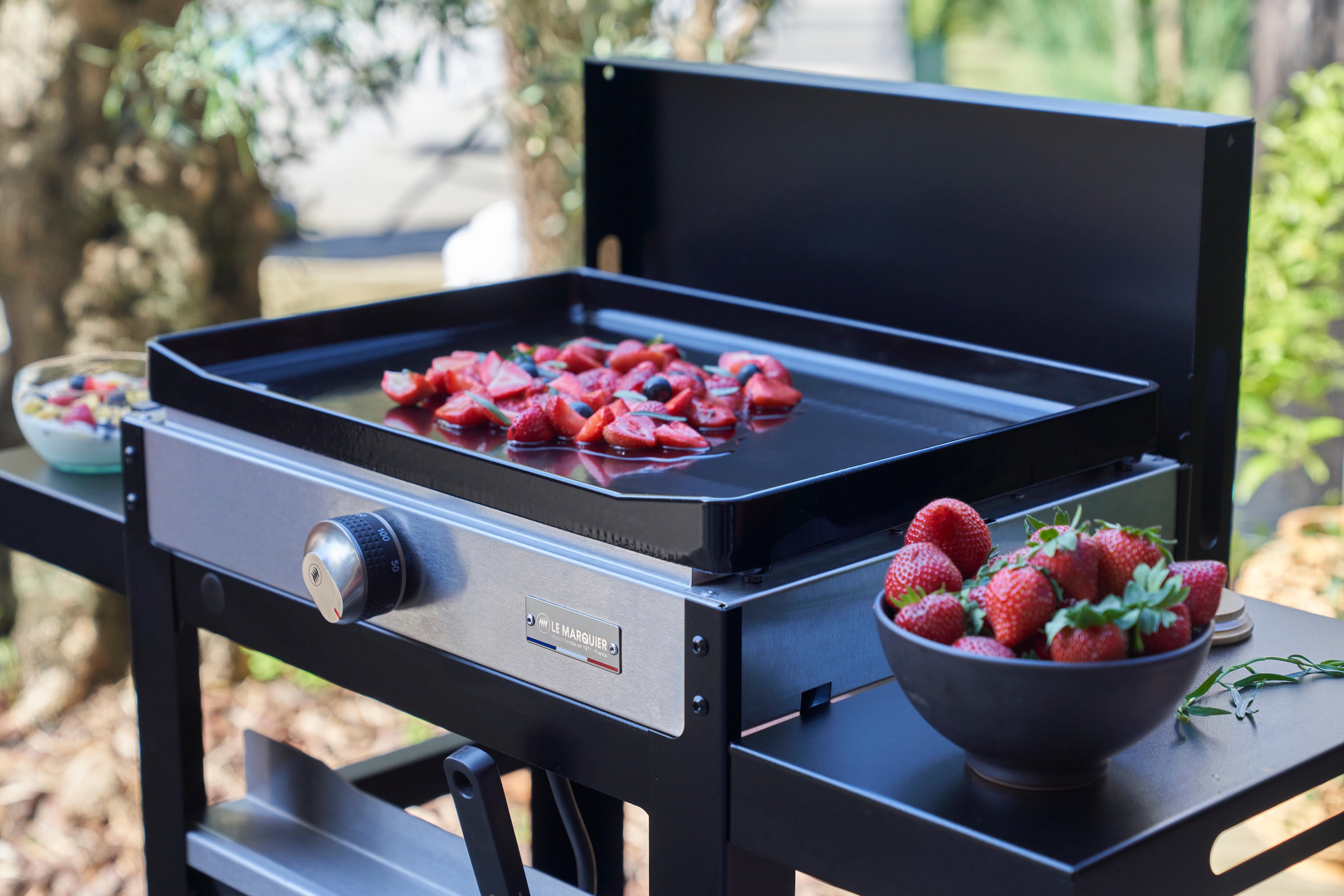 Plancha électrique LE MARQUIER La Plancha Française 150 DUO - Noir / Inox - 4