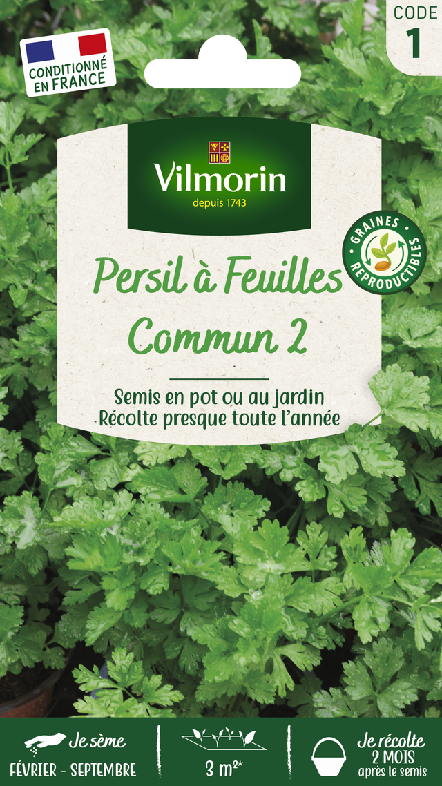 Graines de persil VILMORIN 5 g