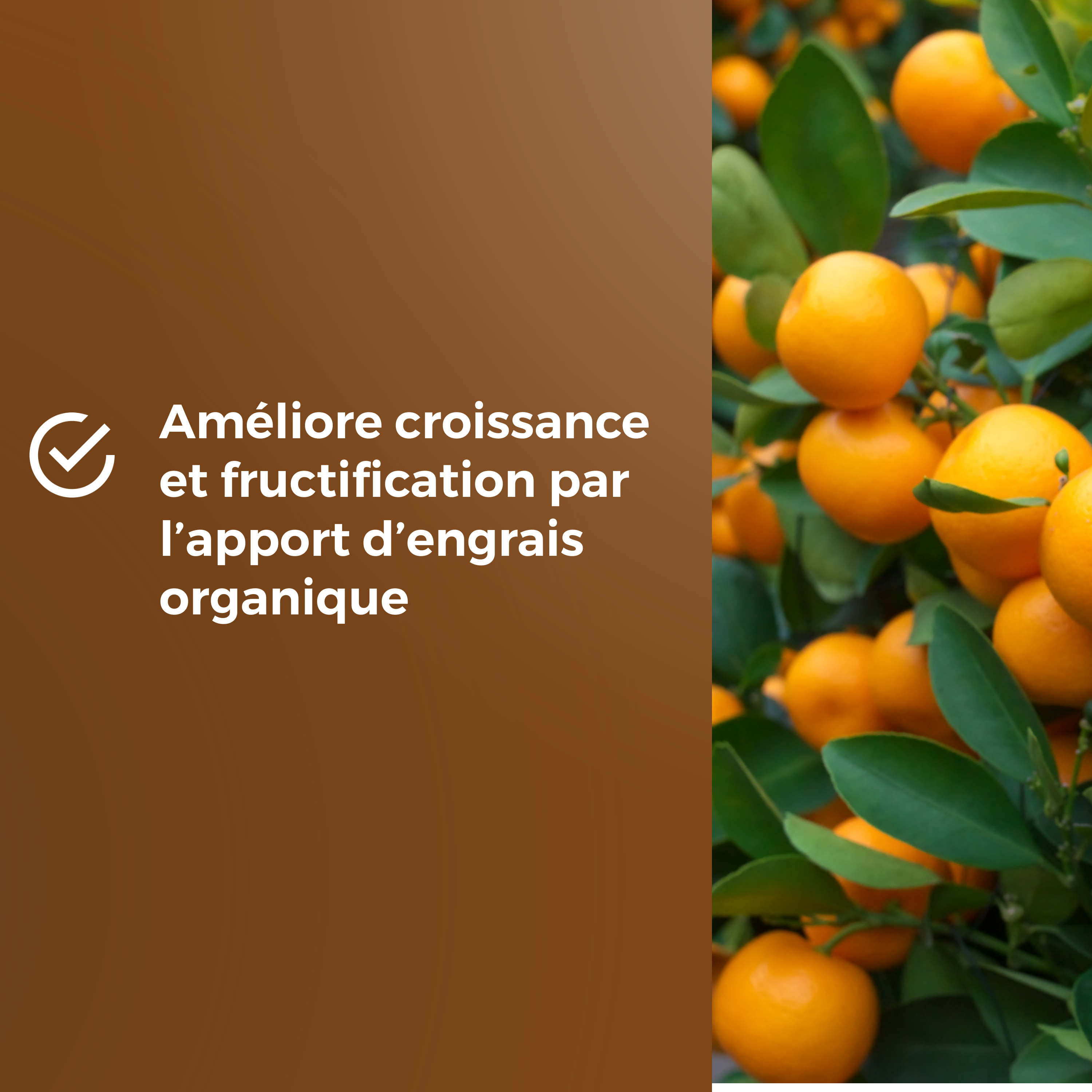 Compost OR BRUN, 6 l - 6