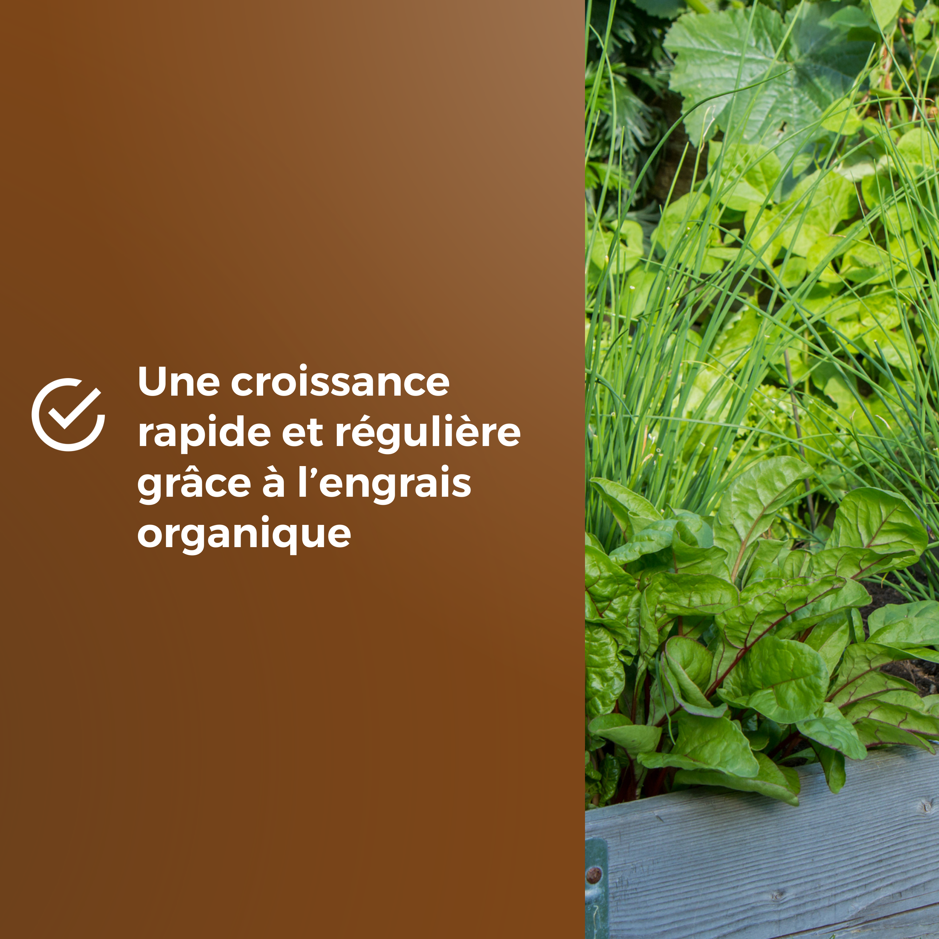 Compost potager OR BRUN, 6 l - 7