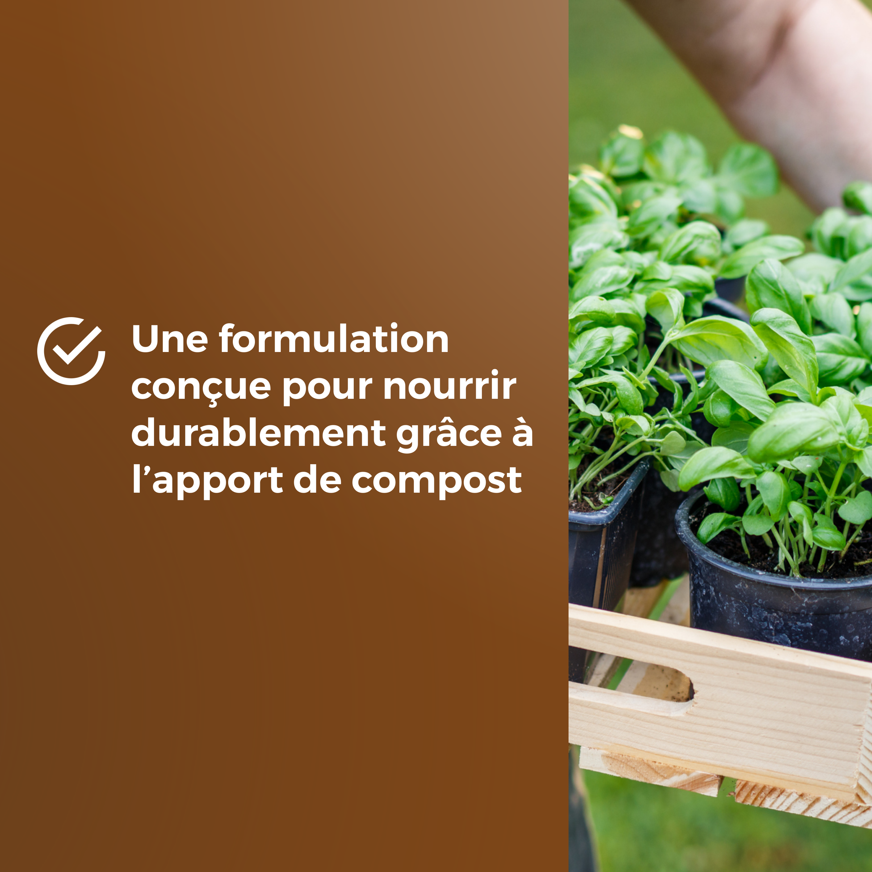 Compost potager OR BRUN, 6 l - 5