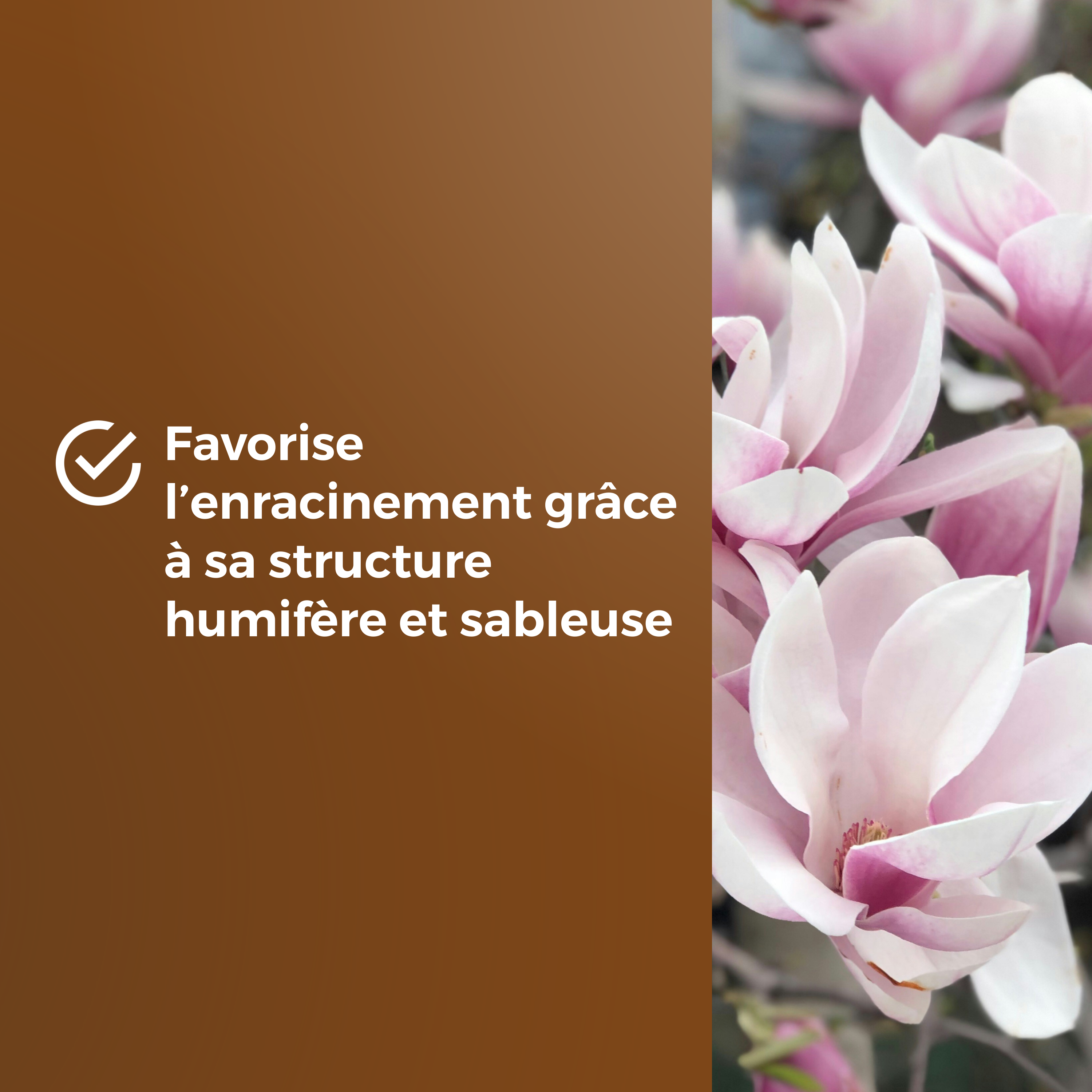 Compost plantes acidophiles OR BRUN, 6 l - 5