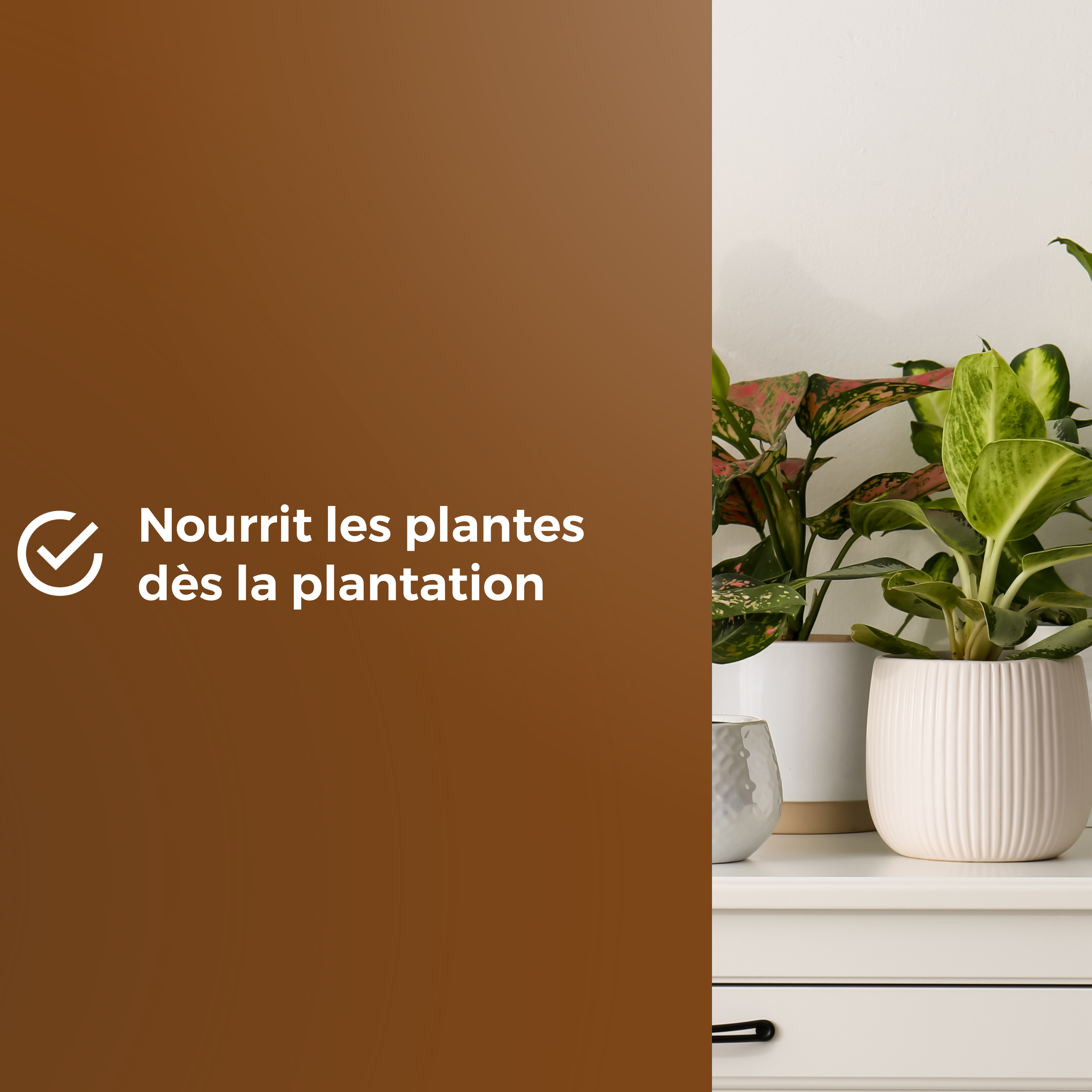 Compost universel OR BRUN, 6 l - 7