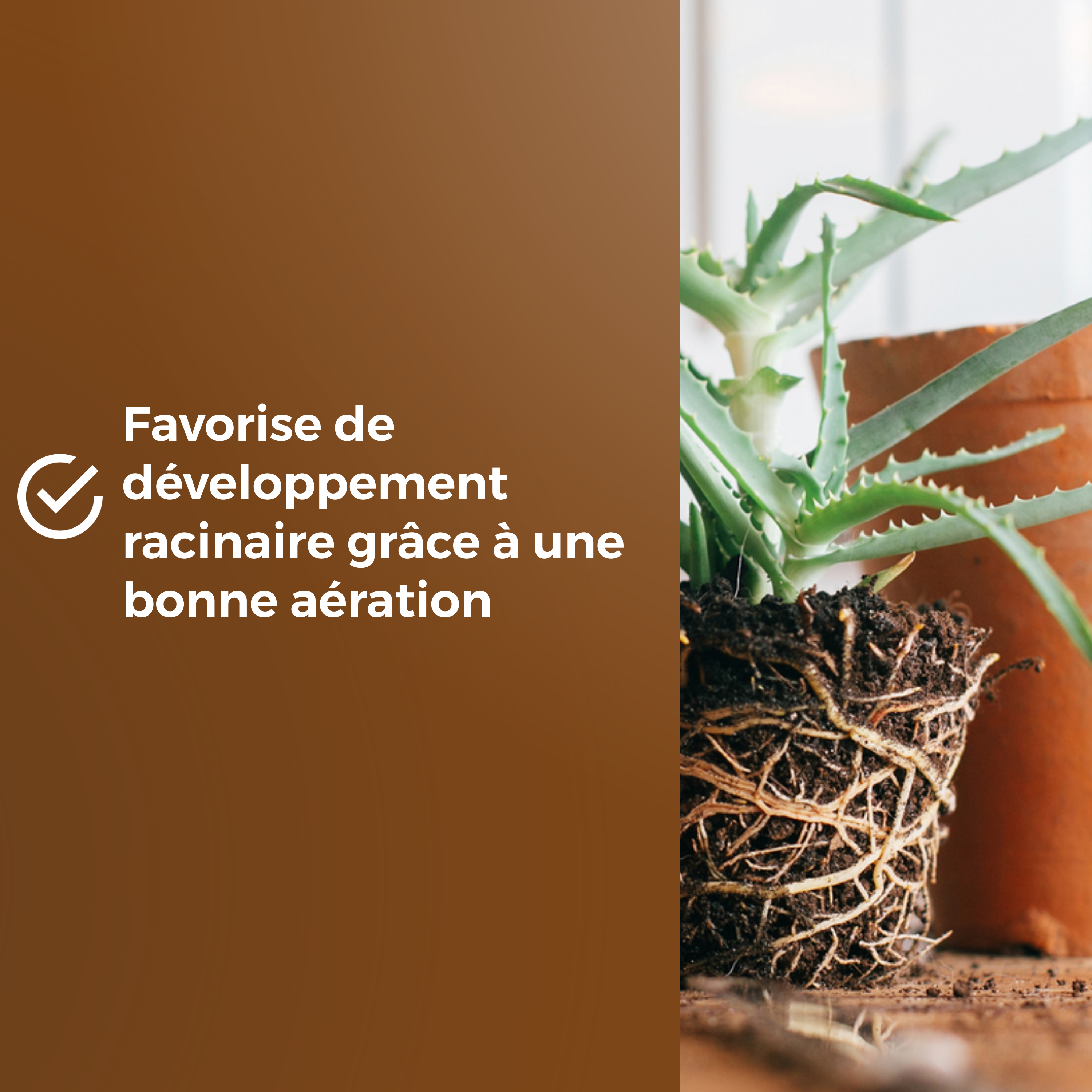 Compost universel OR BRUN, 6 l - 6