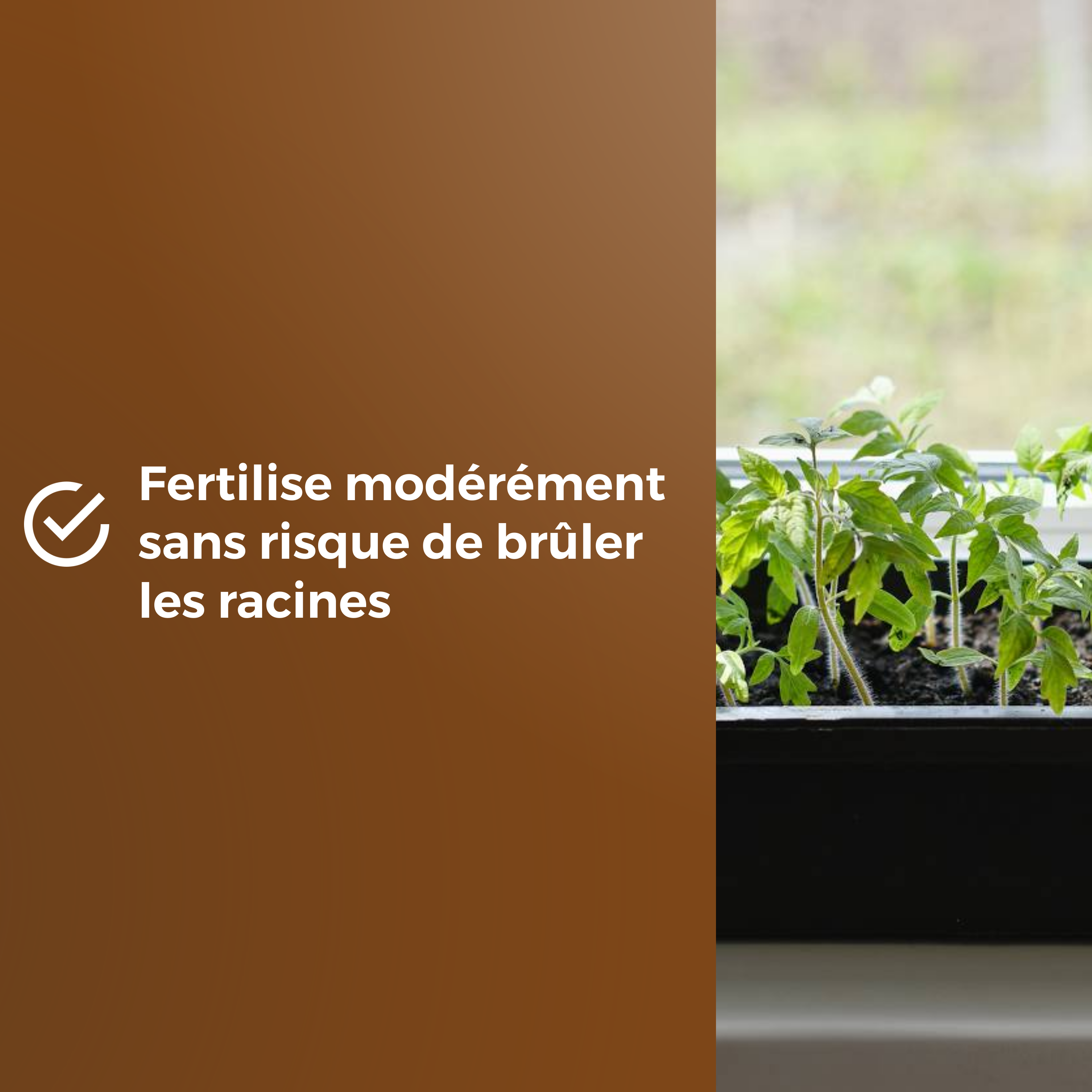 Compost universel OR BRUN, 6 l - 5