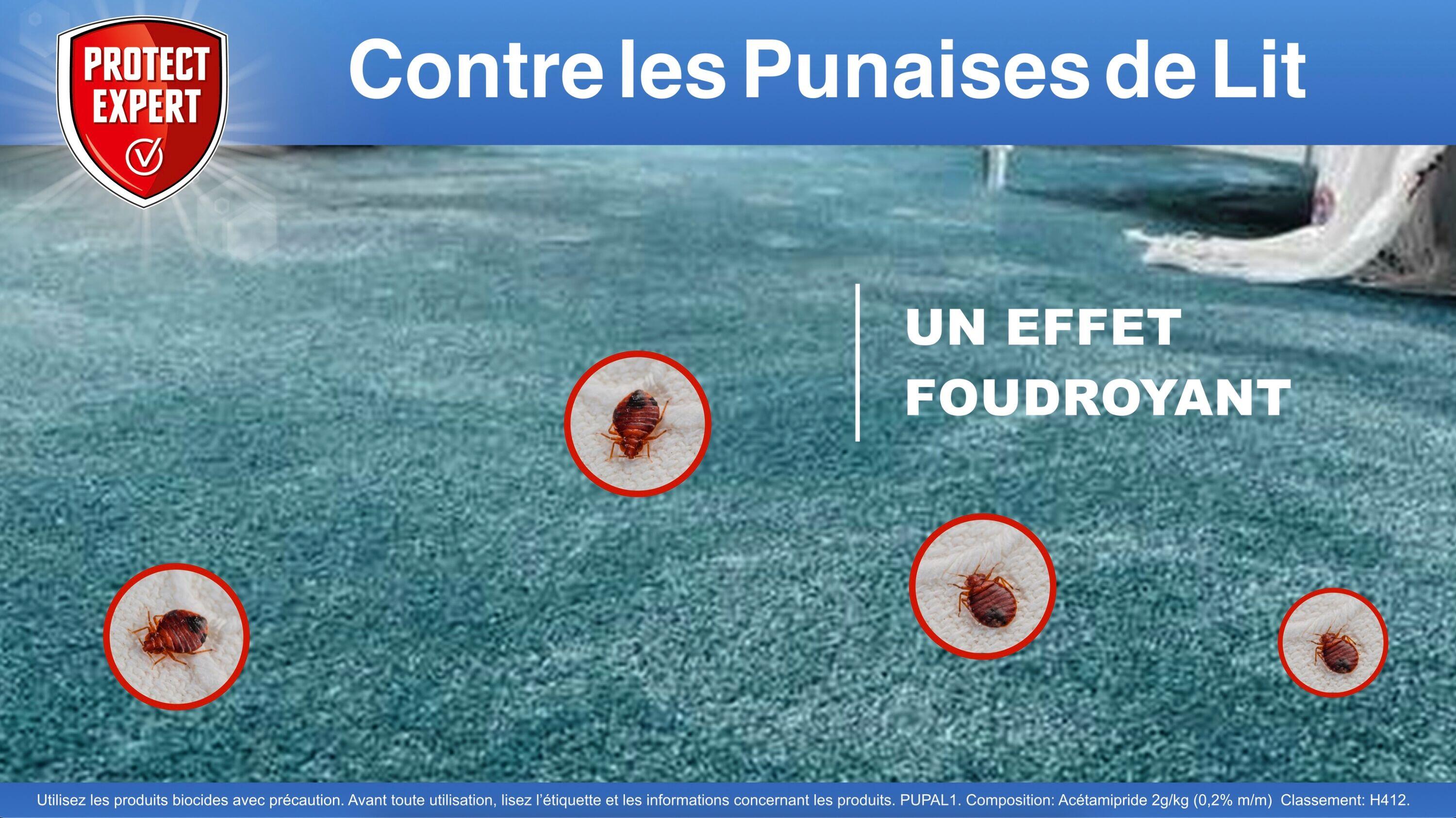 Antipunaises pulvérisateur PROTECT EXPERT, 1L - 3