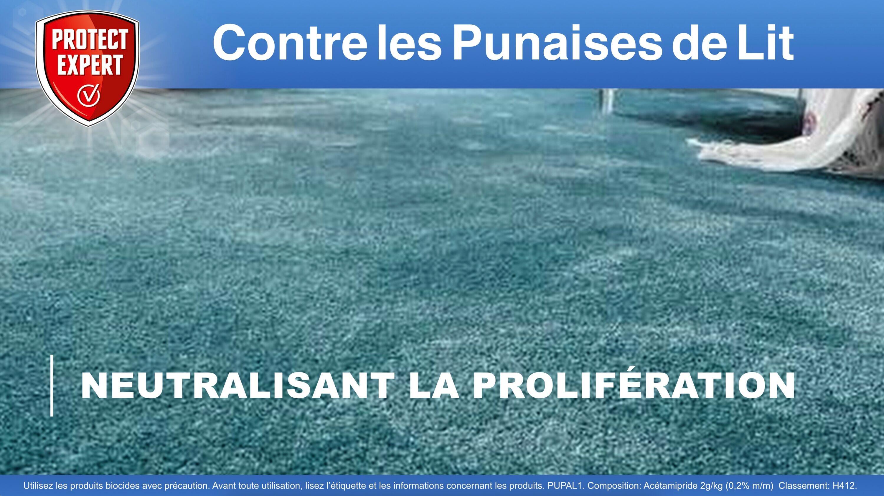 Antipunaises pulvérisateur PROTECT EXPERT, 1L - 4