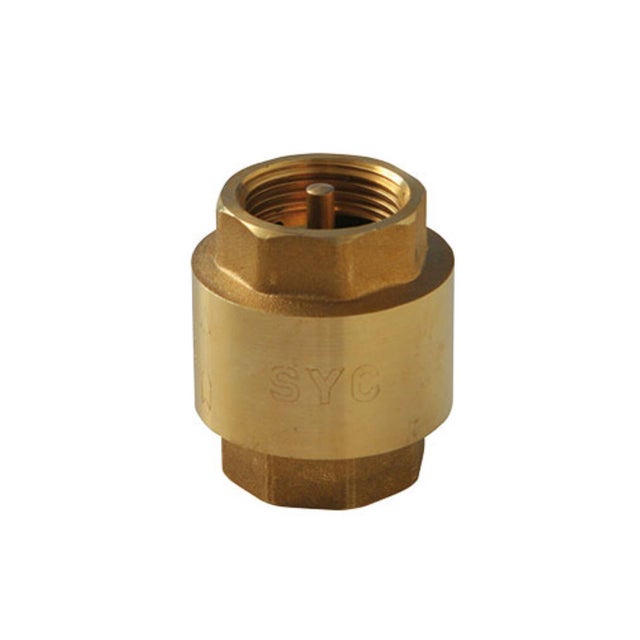 Válvula de retenção roscado 1/2