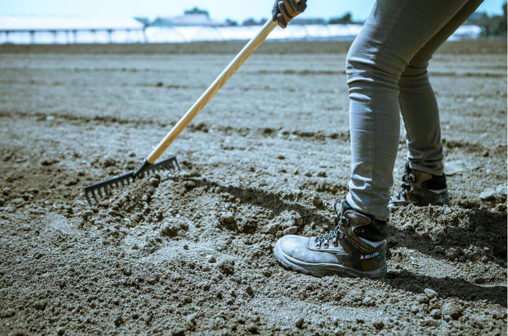 Rastrello Alta Intensità BELLOTA 950-18 - Acciaio Temprato, Per Agricoltura E Giardinaggio - Foto 9