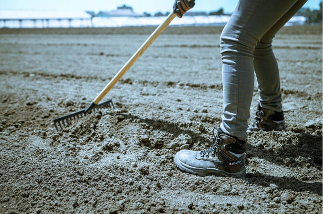 Rastrello Alta Intensità BELLOTA 950-18 - Acciaio Temprato, Per Agricoltura E Giardinaggio - Foto 9