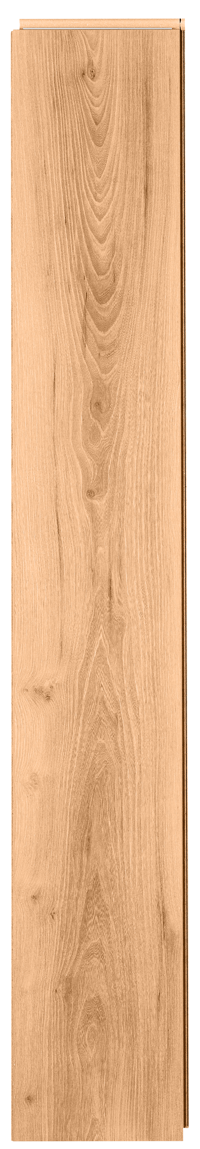 Panele podłogowe laminowane wodoodporne AC5 10 mm Artens Malte naturalne drewno - 14