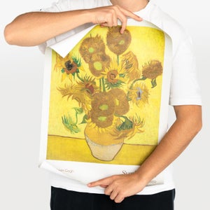 6 Poster Lago Ghiacciato Inverno - Stampe A3 E A4 Per Decorazione Pareti, Senza Cornice - Foto 8