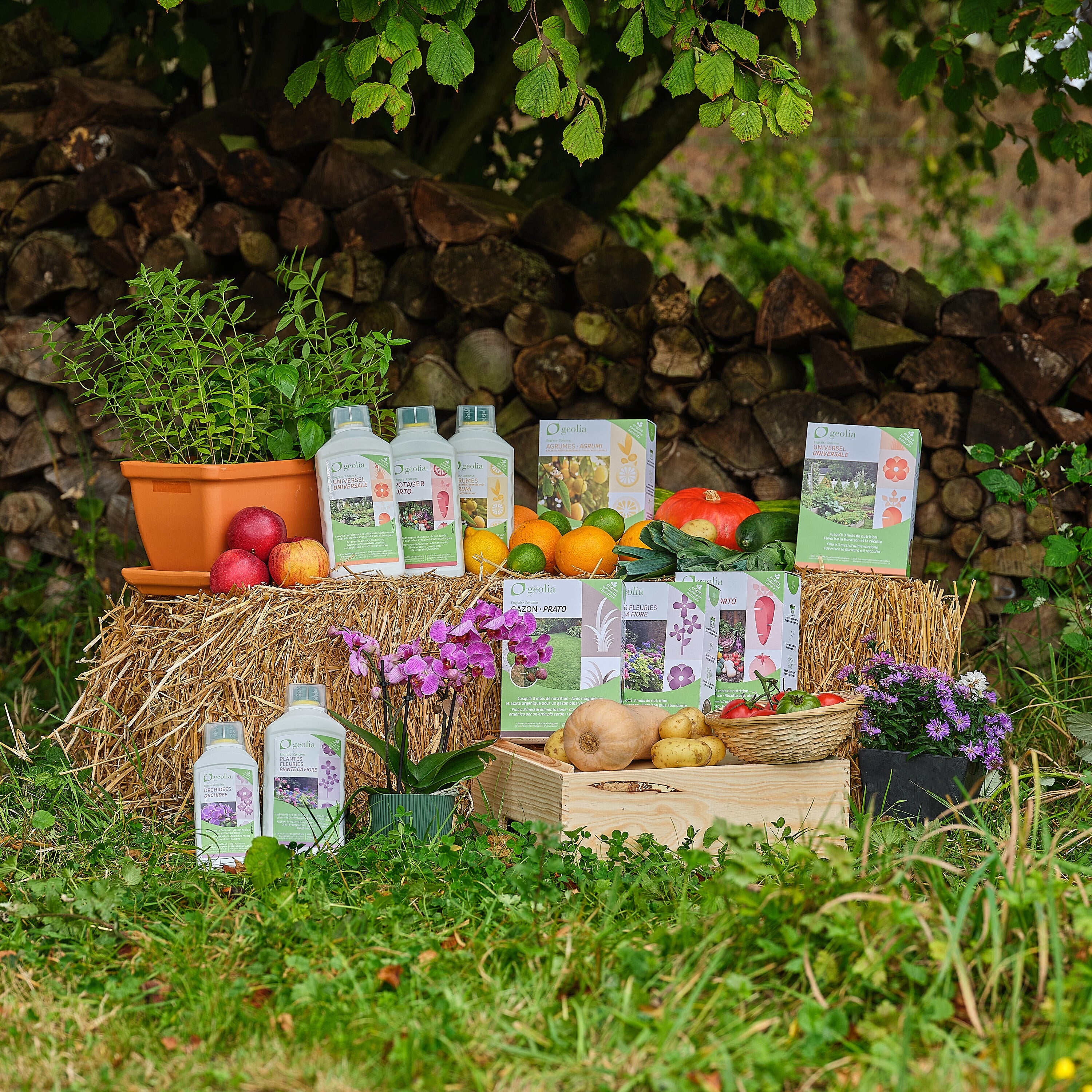 Concime liquido GEOLIA per uso universale BIO Universale 1 L - 7