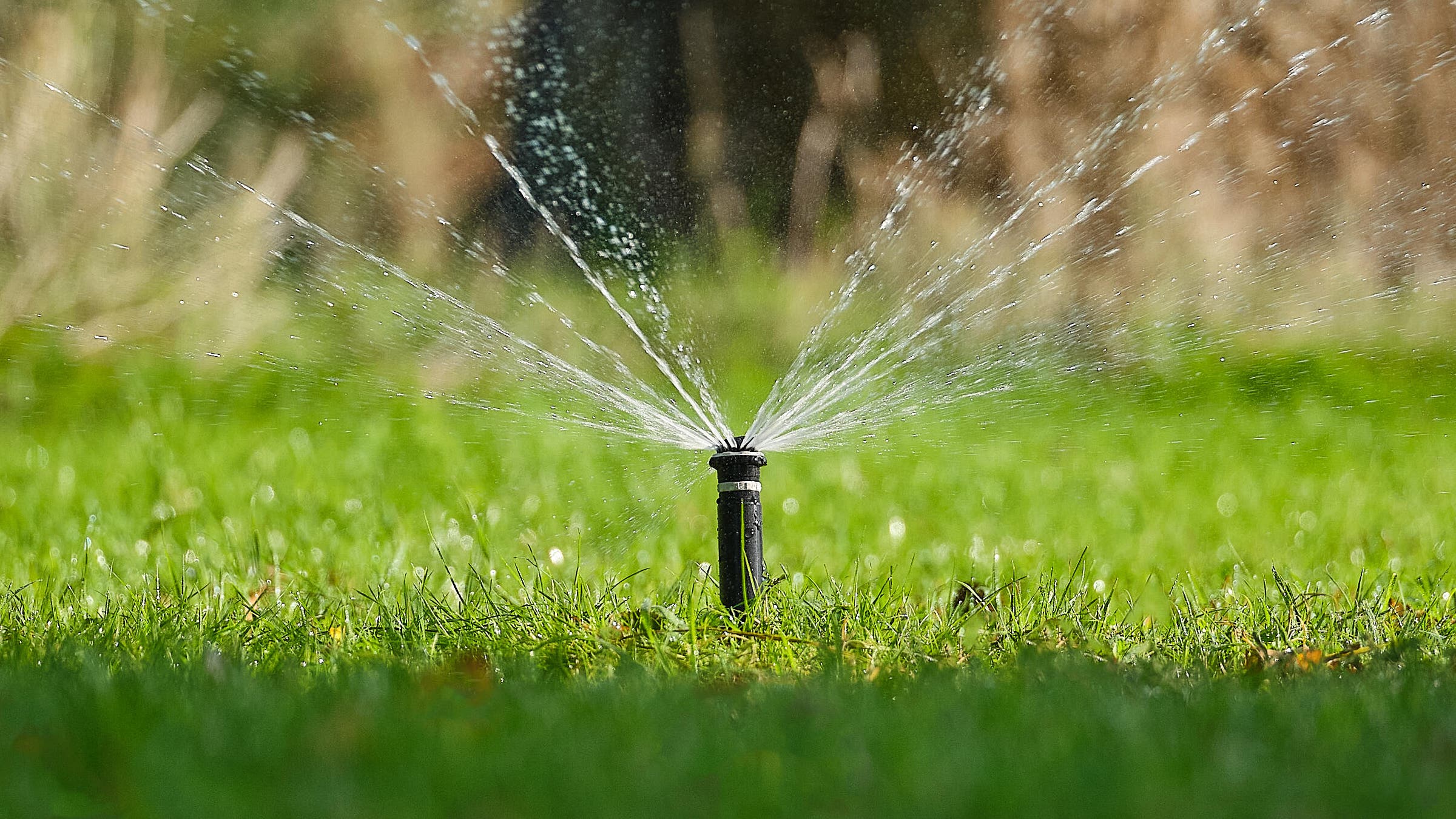 projeto de rega integrada no jardim