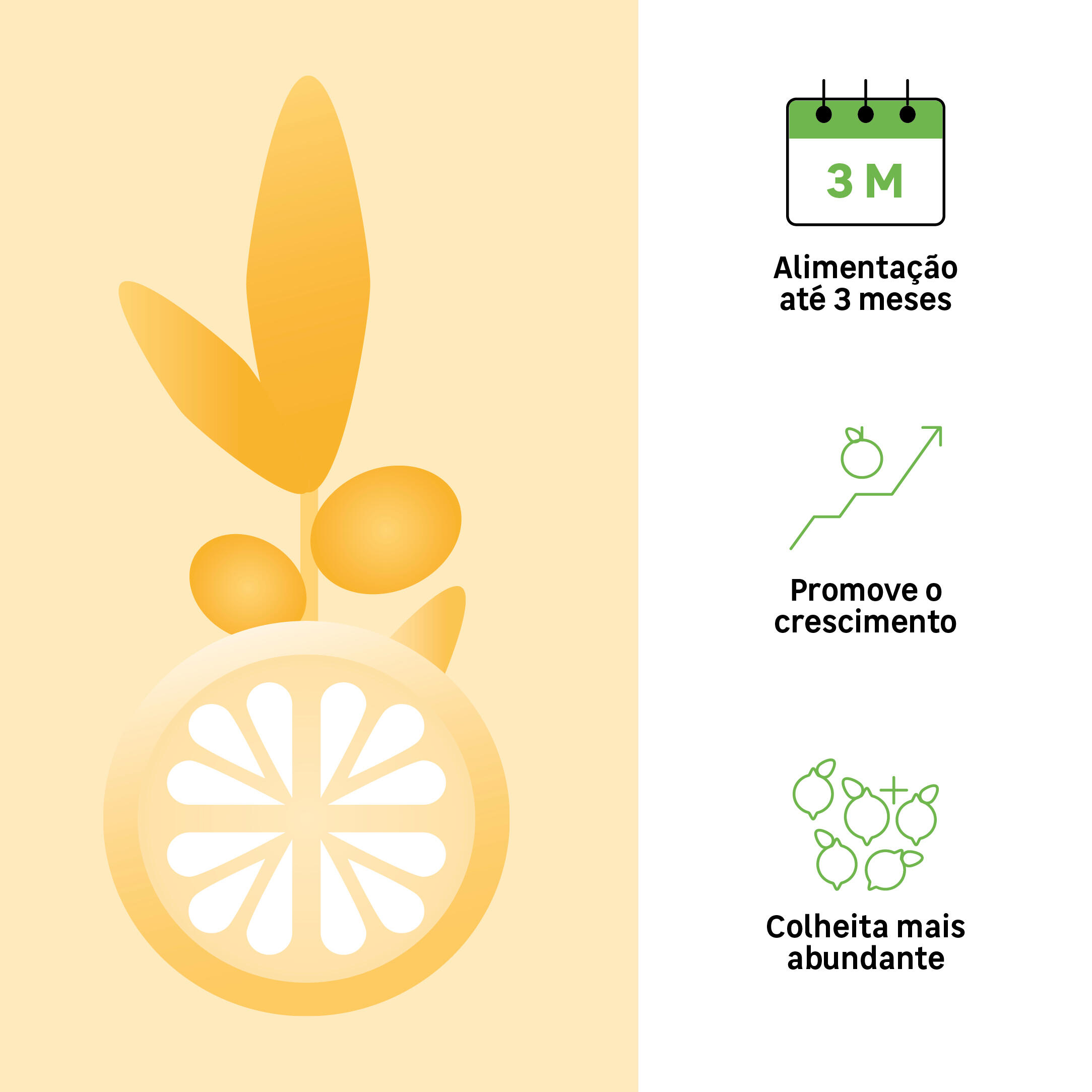 Fertilizante Organico Citrinos e Plantas Mediterraneas 1kg - 2