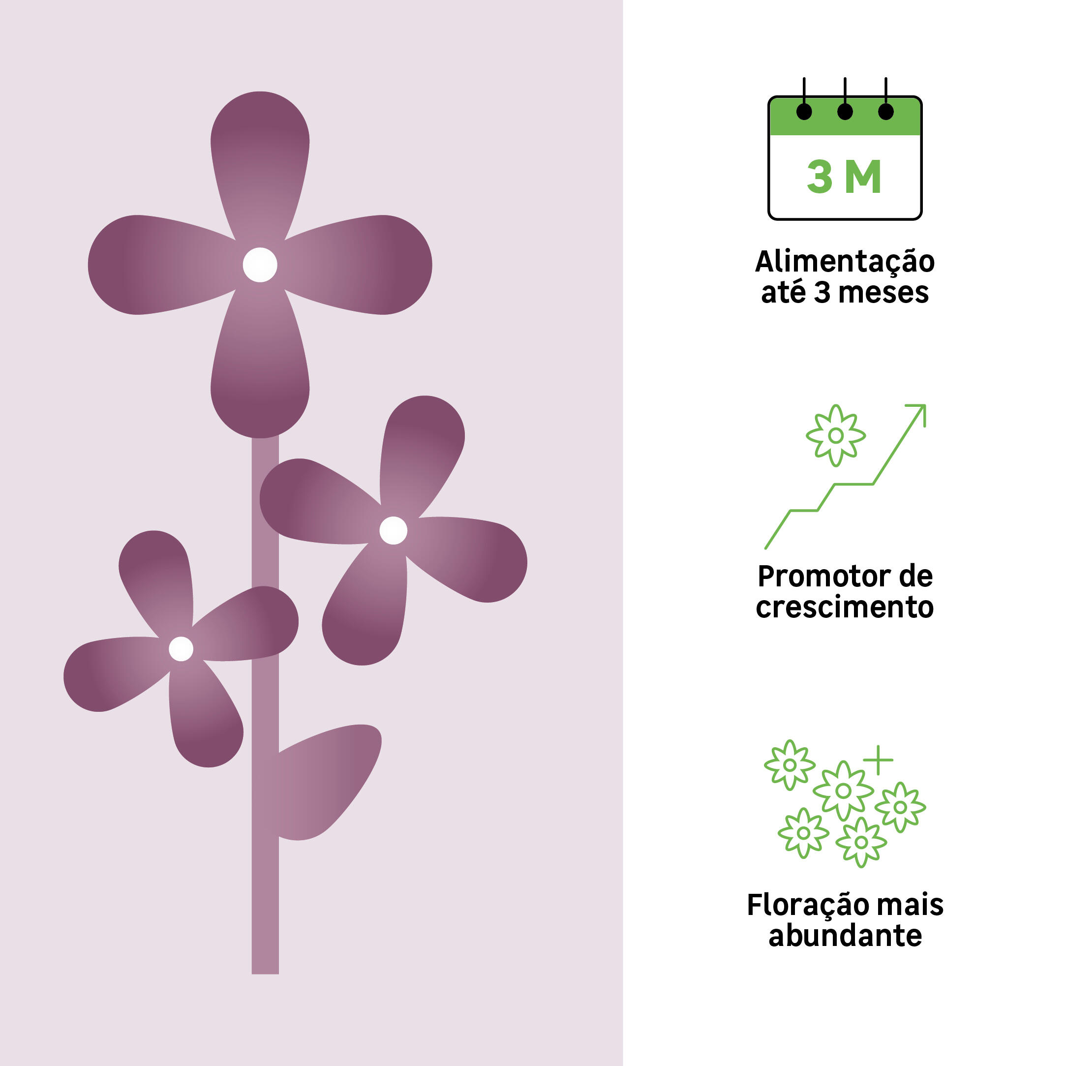 Fertilizante Organico Flores E Plantas 1kg - 2