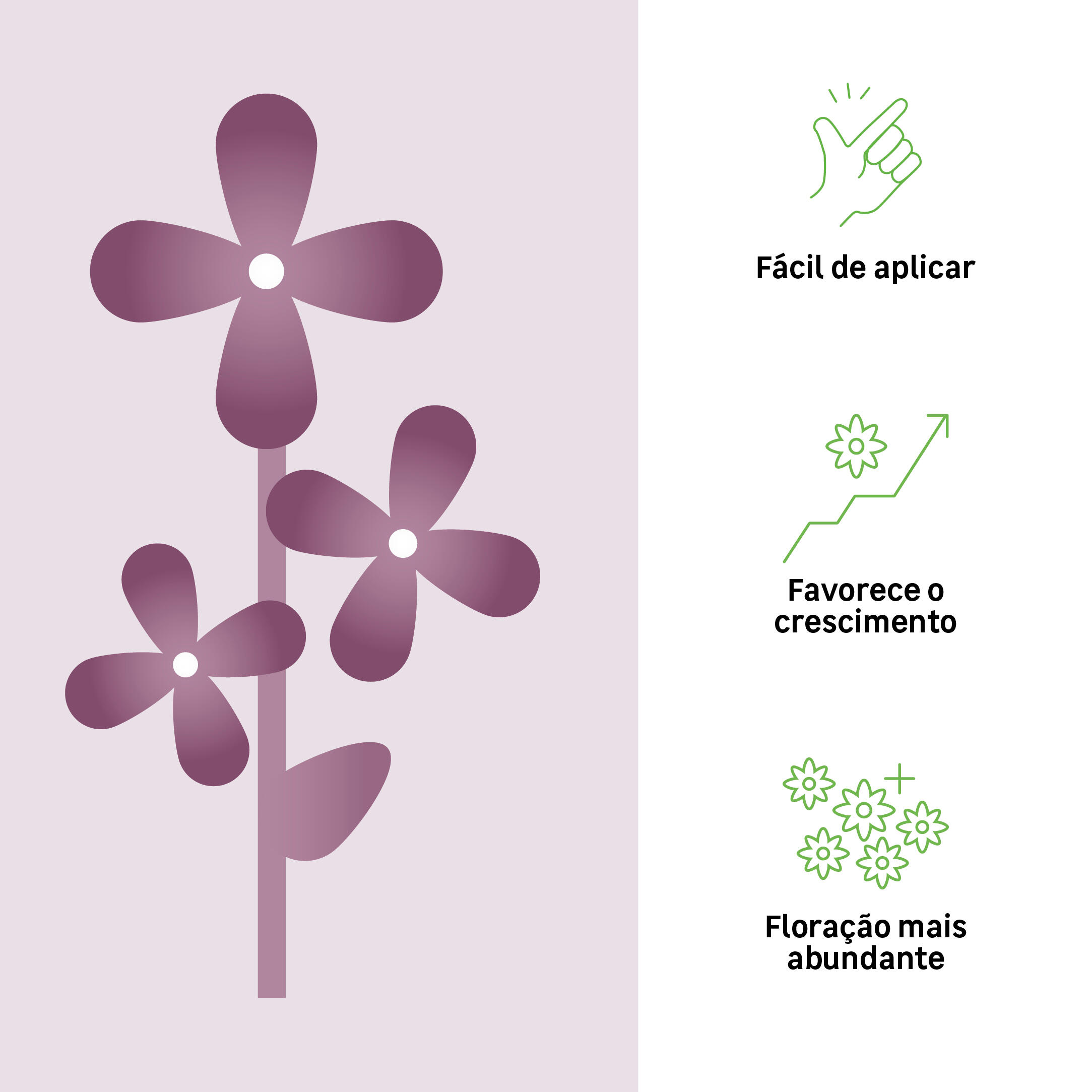 20 Sticks Fertilizante orgânico flores - 2