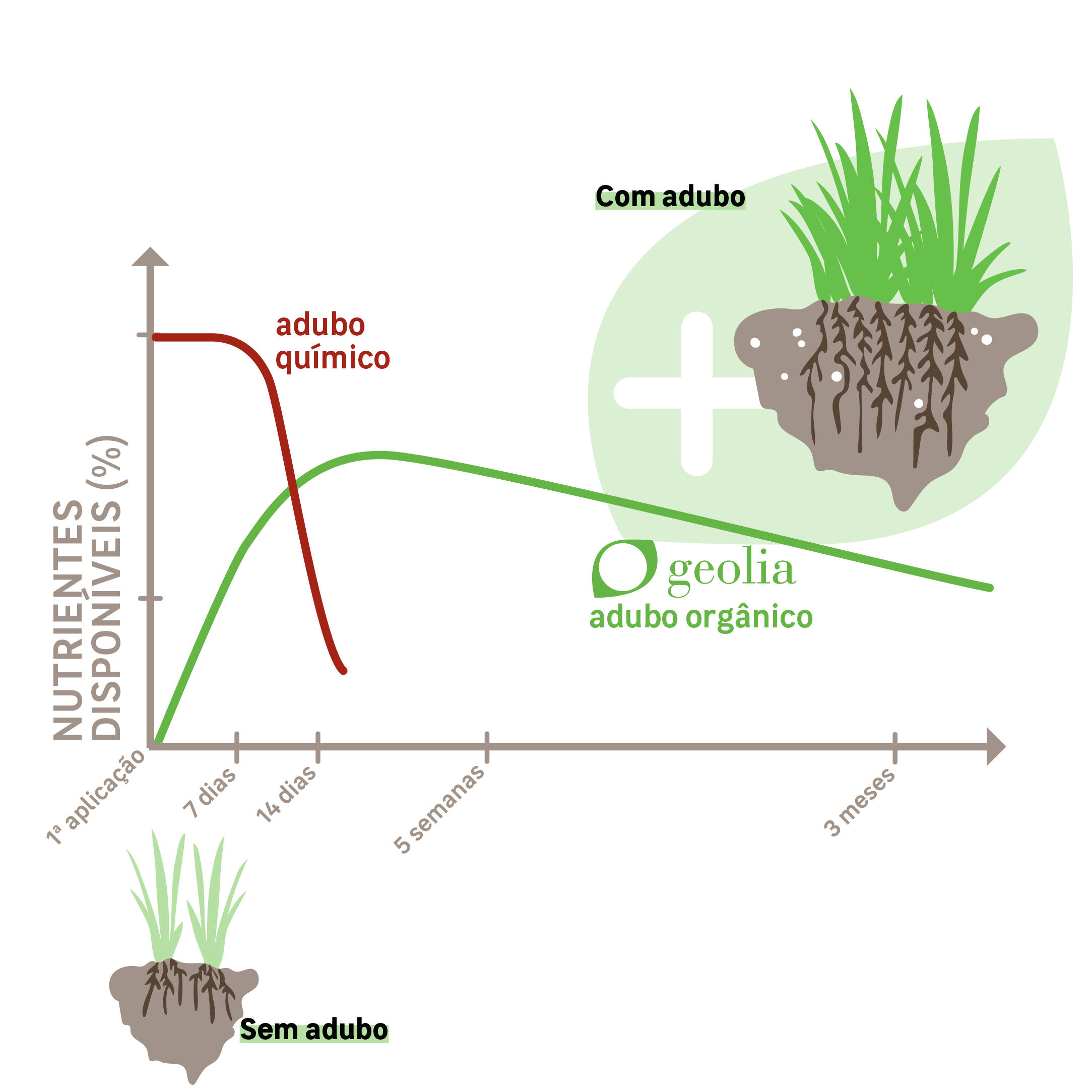 Fertilizante Organico Relva 1kg - 5