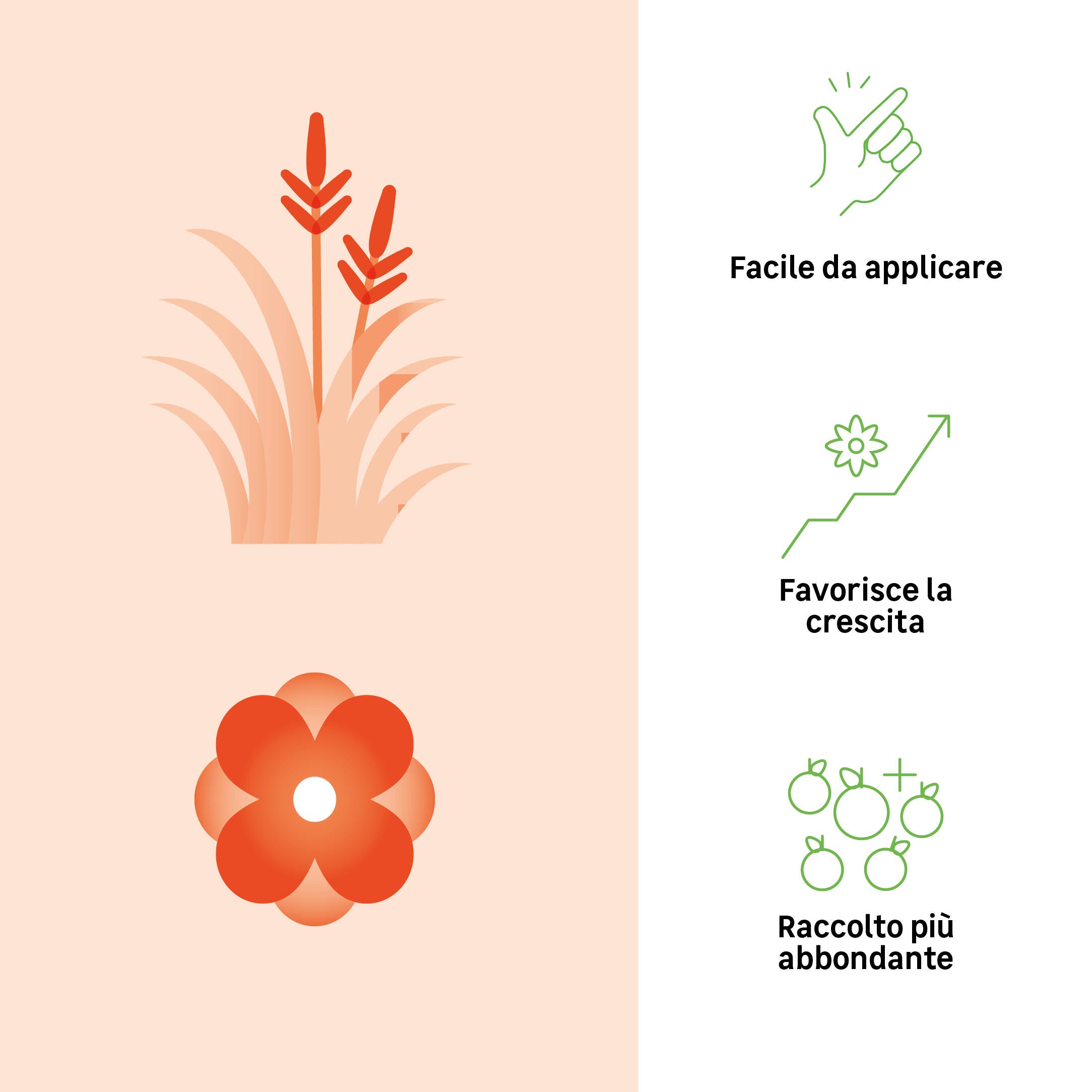 Concime bastoncini GEOLIA per uso universale BIO Universale 20 stick 0.04 kg - 2