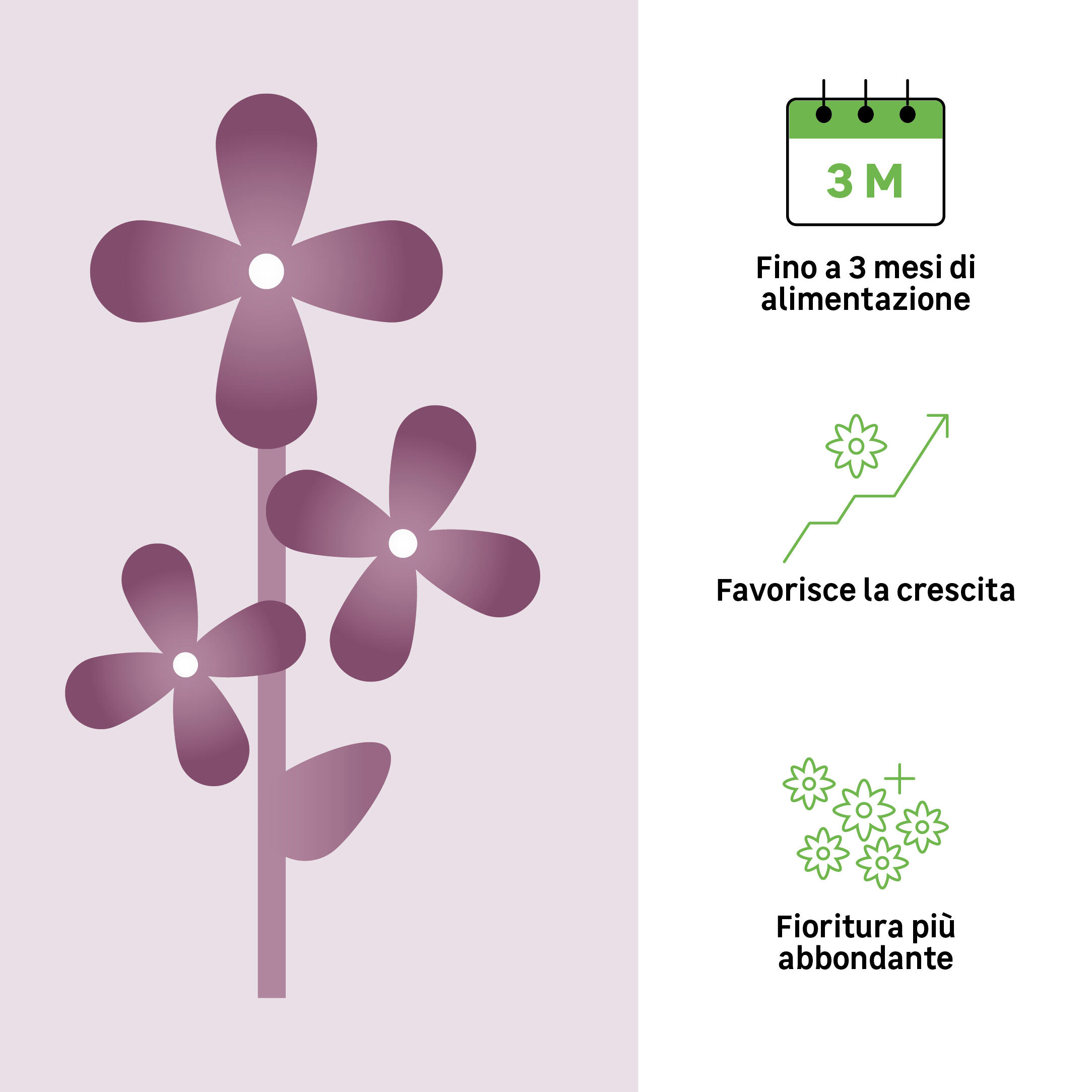 Concime granulato GEOLIA per pianta fiorita BIO Piante fiorite 1 kg - 2