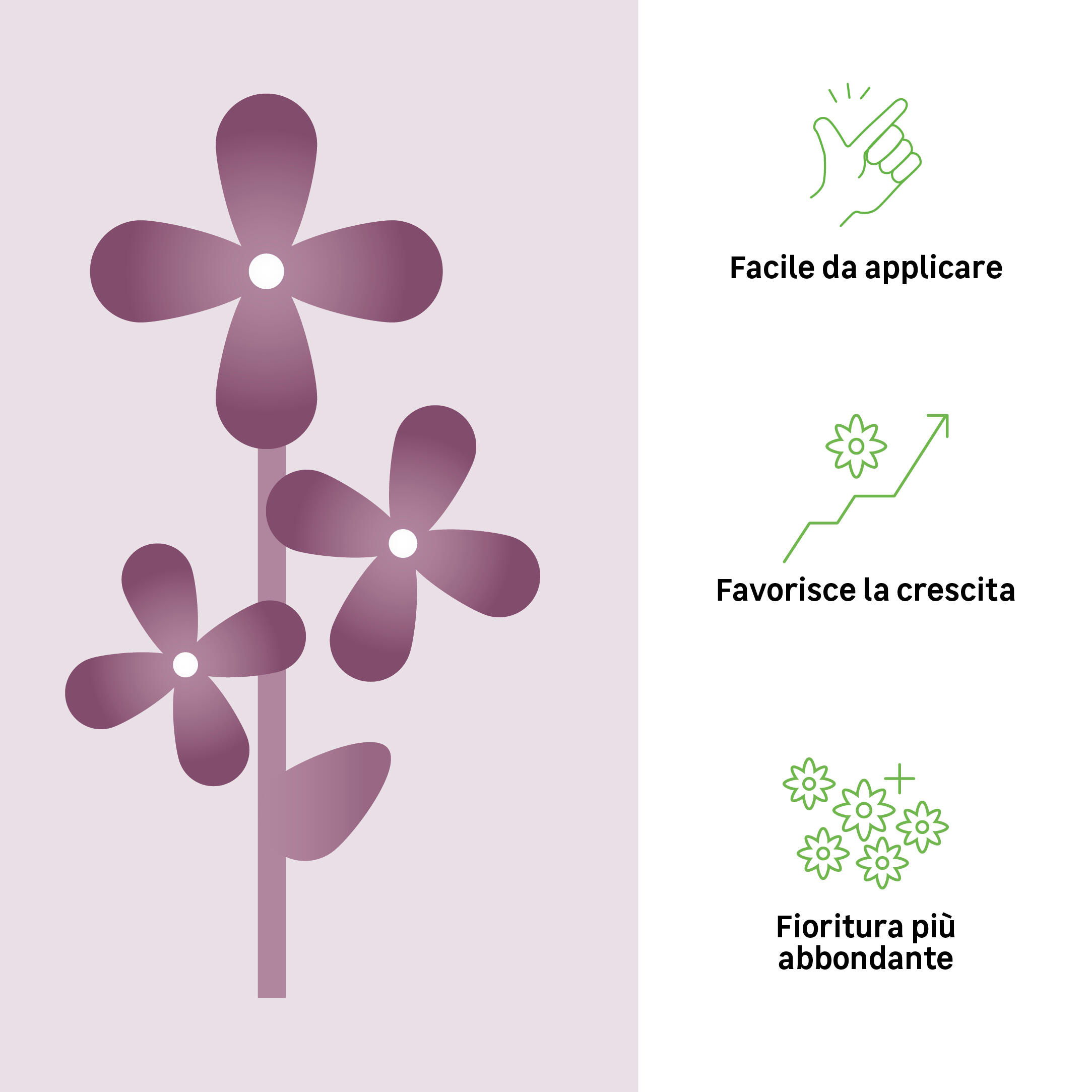 Concime bastoncini GEOLIA per pianta fiorita BIO Piante fiorite 20 Stick 0.4 kg - 2