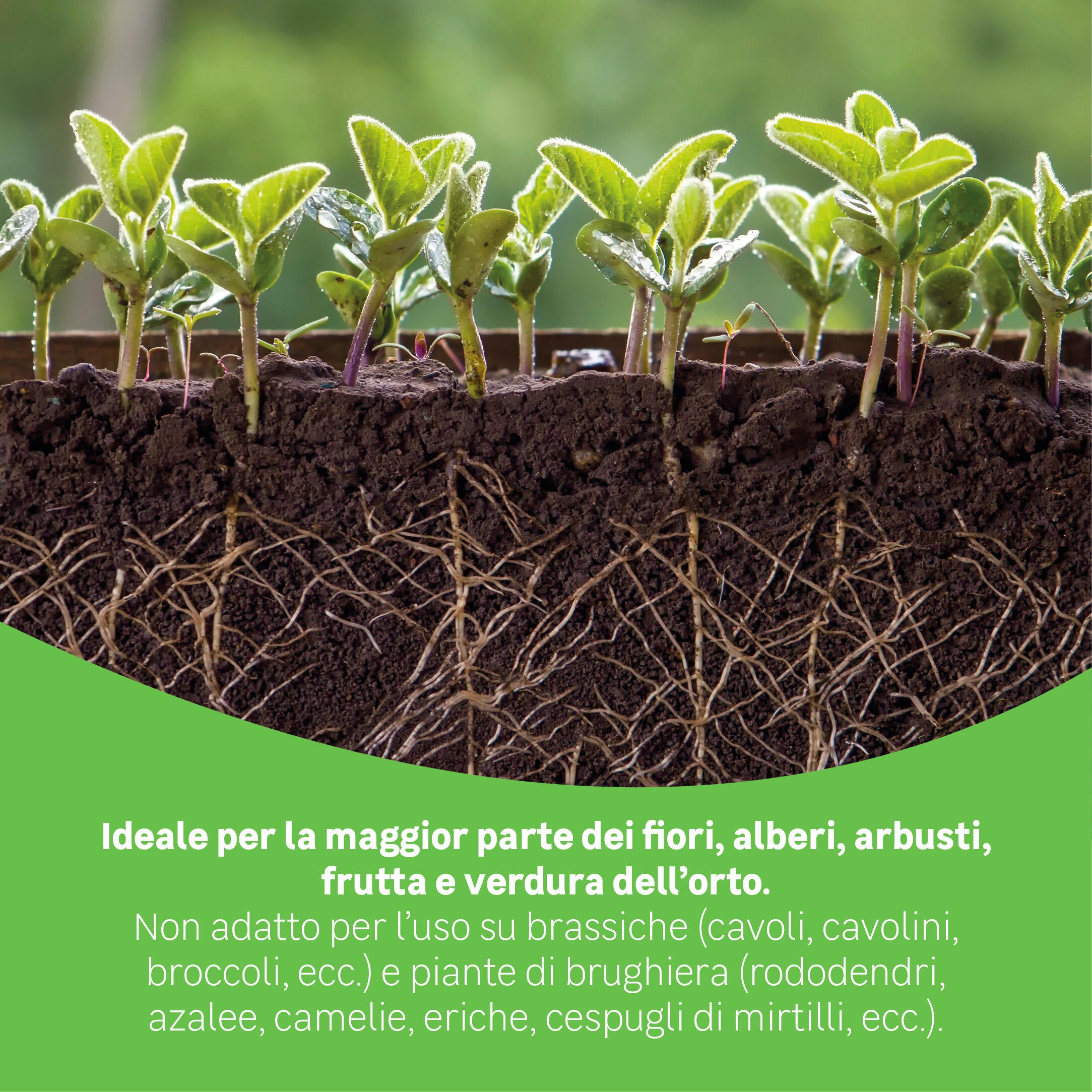 Attivatore di compostaggio granulato GEOLIA BIO 1 kg - 3