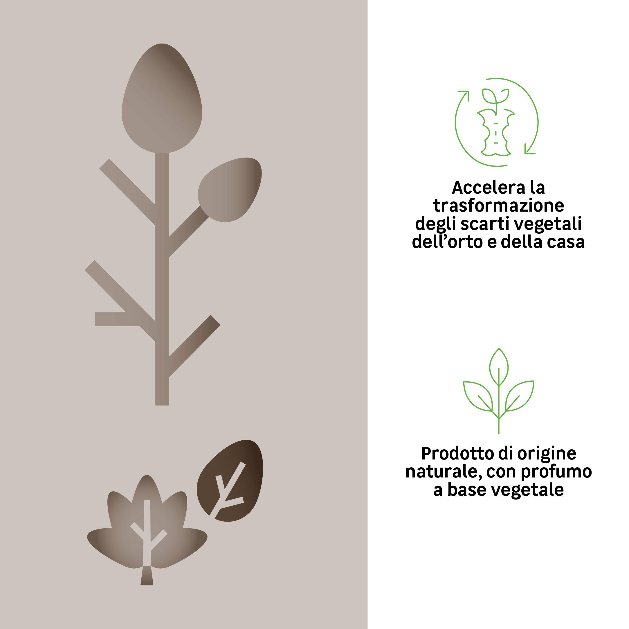 Stimolatore delle radici GEOLIA BIO 0.25 kg - 2