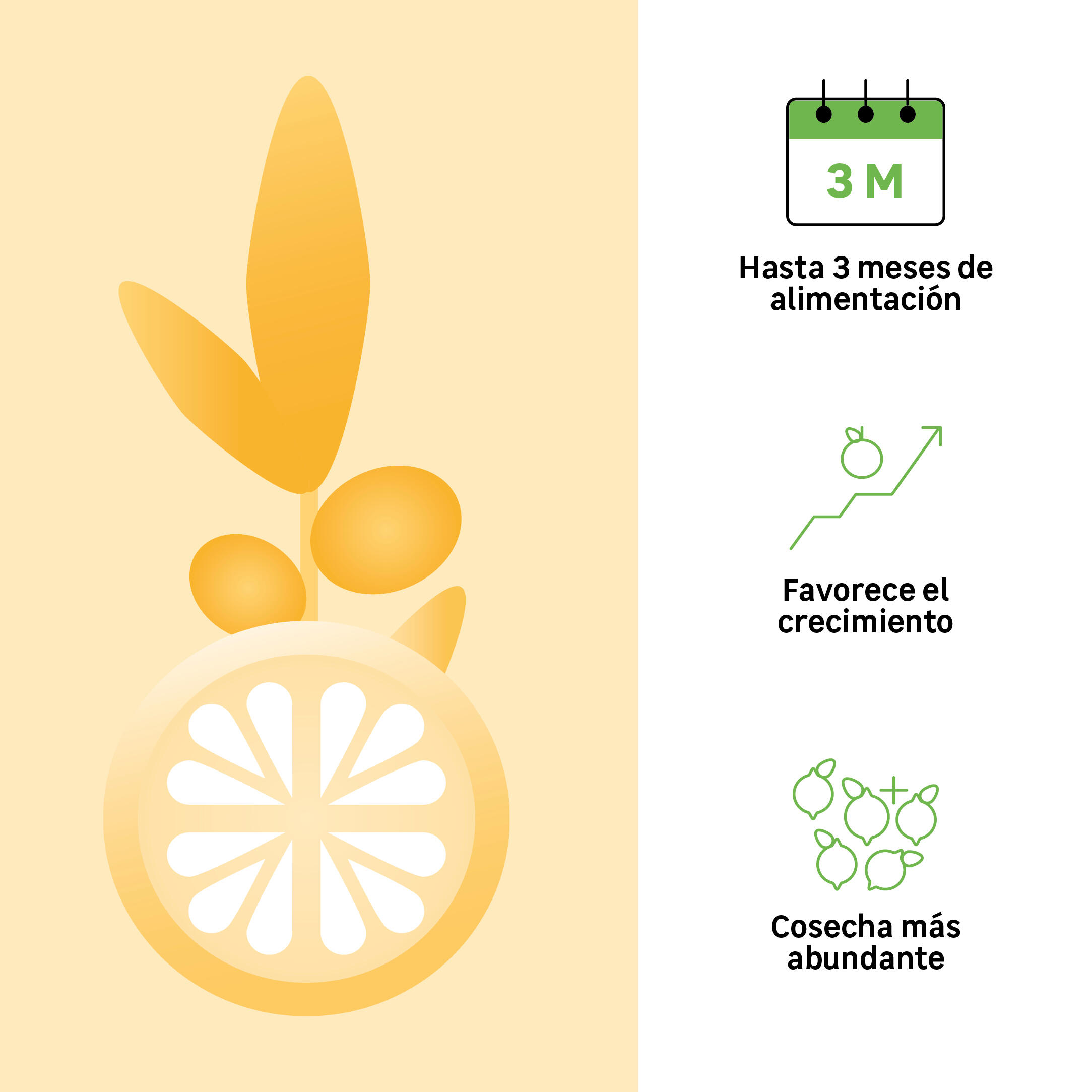 Abono cítricos GEOLIA 1 kg. - 2