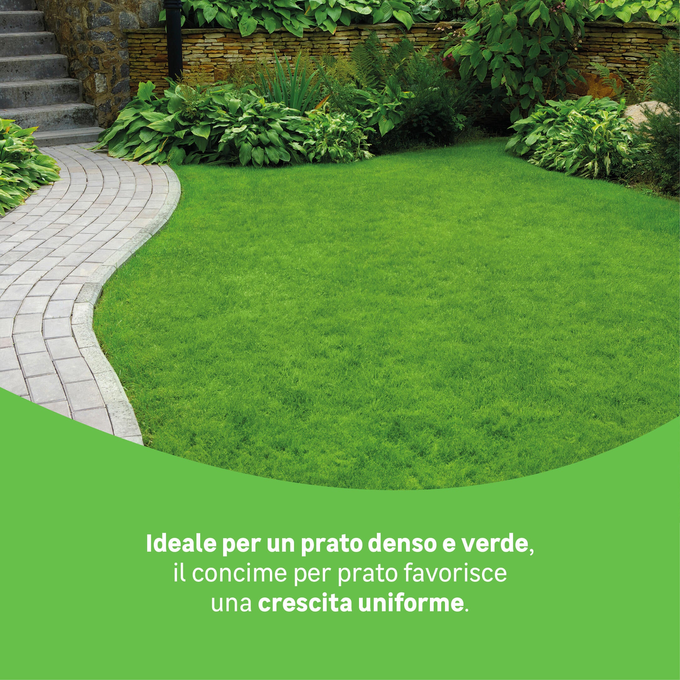 Concime granulato GEOLIA per prato BIO Prato 1 kg - 3