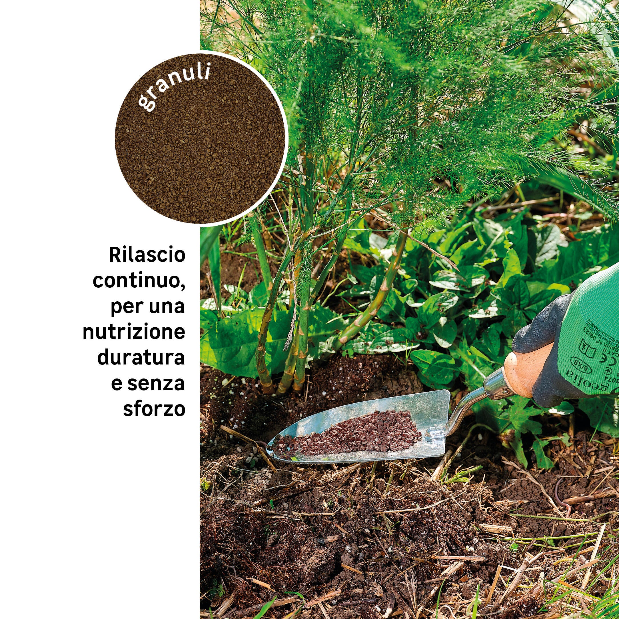 Concime granulato GEOLIA per alberi e arbusti Conifere BIO Conifere e arbusti 5 kg - 2
