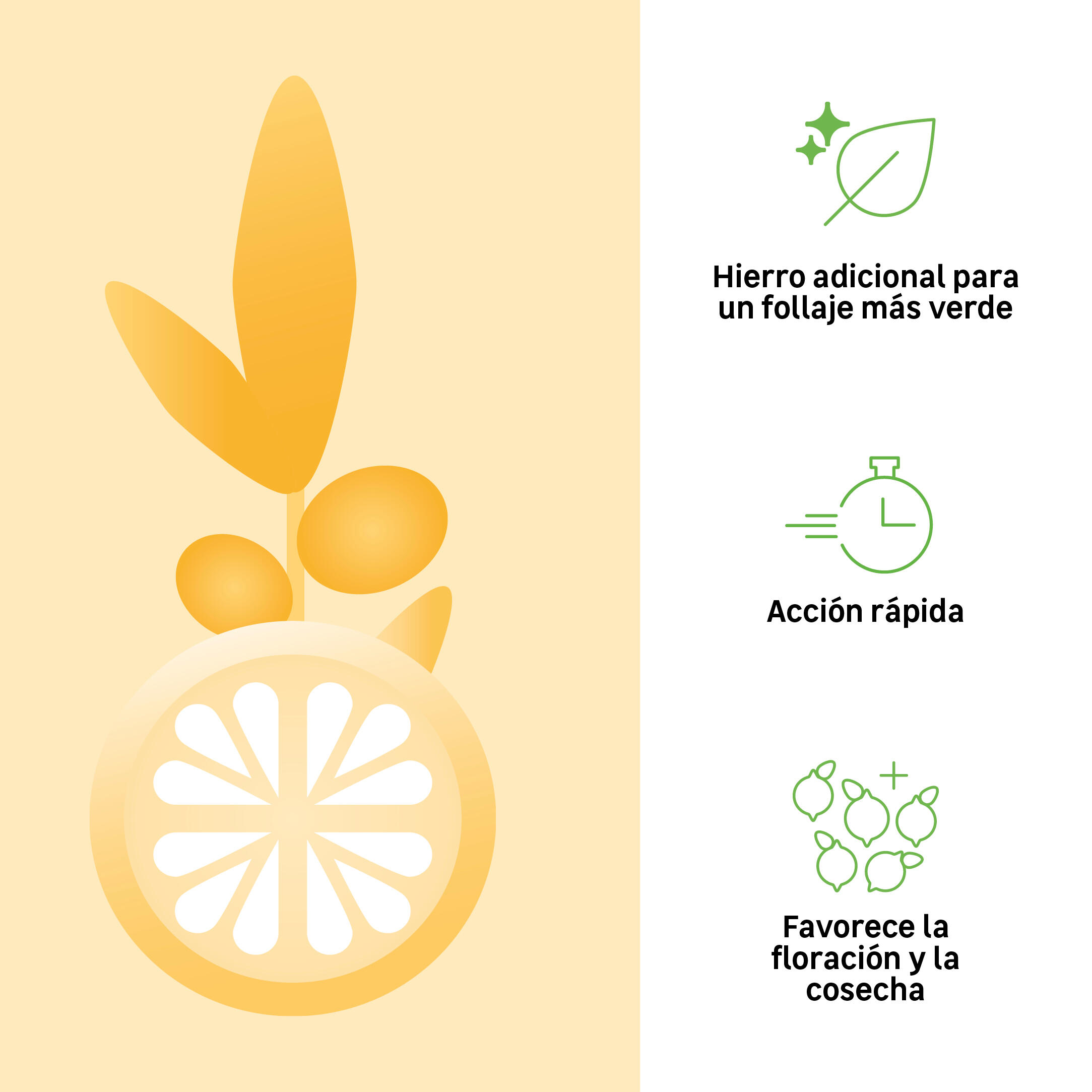 Abono cítricos GEOLIA 1.15 kg. - 2