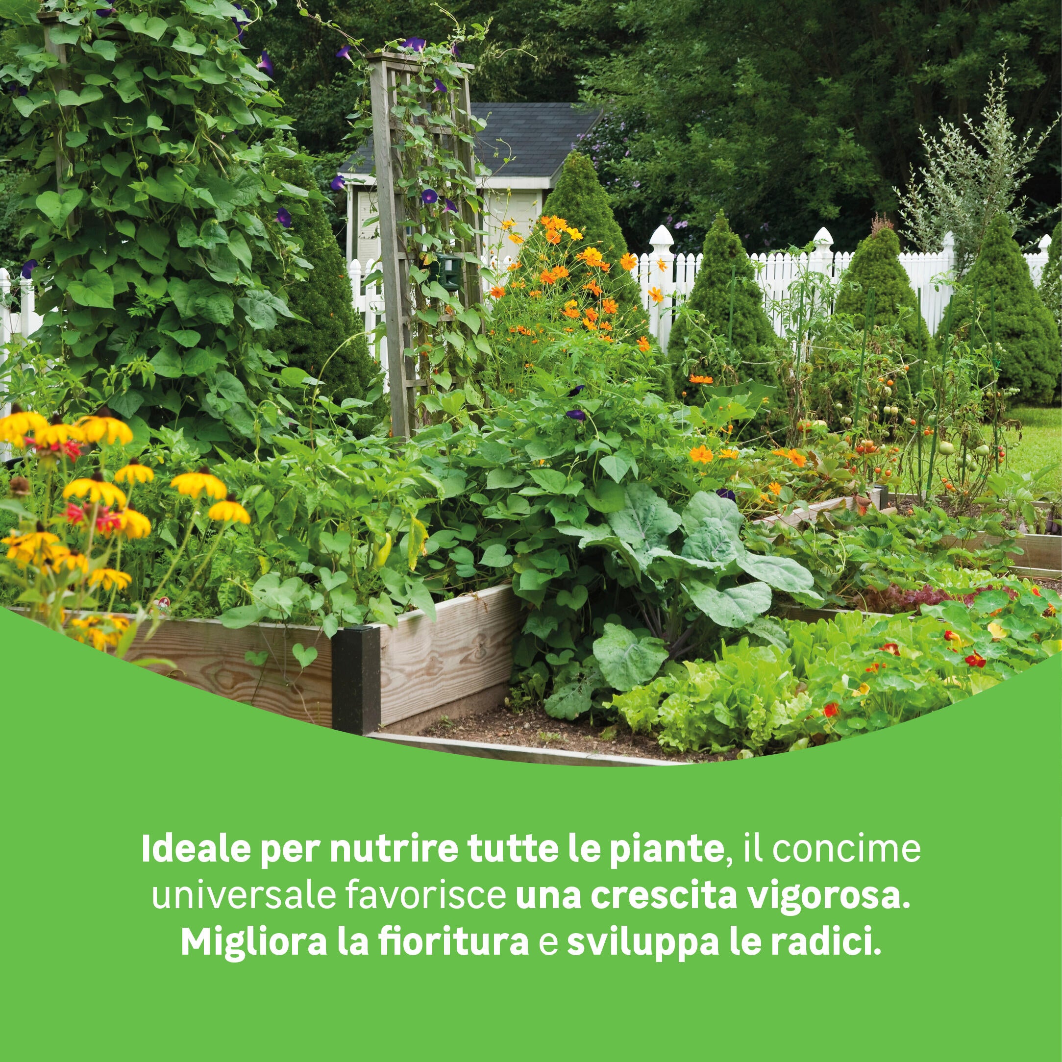 Concime liquido GEOLIA per uso universale BIO Universale 1 L - 3