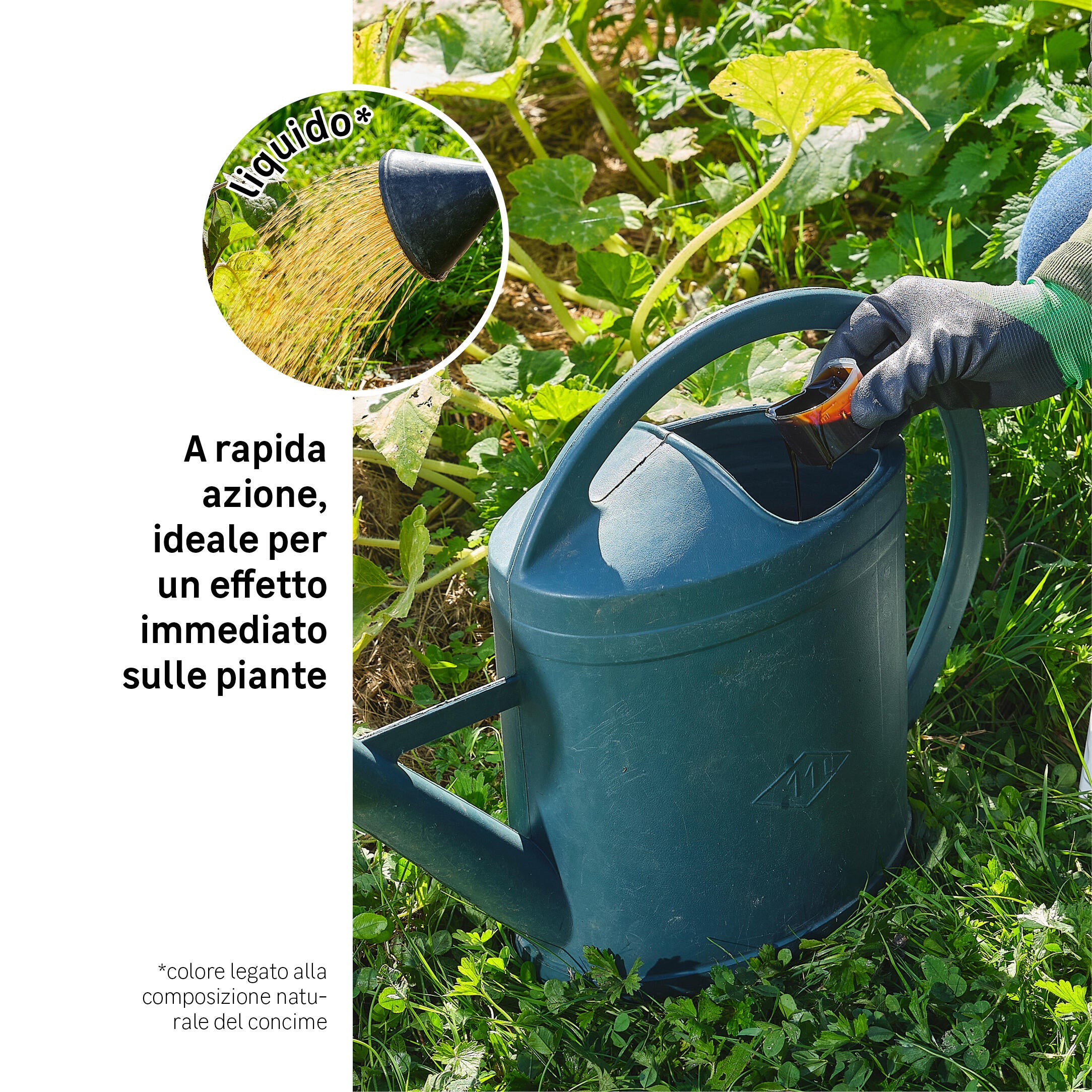 Concime liquido GEOLIA per uso universale BIO Universale 1 L - 5