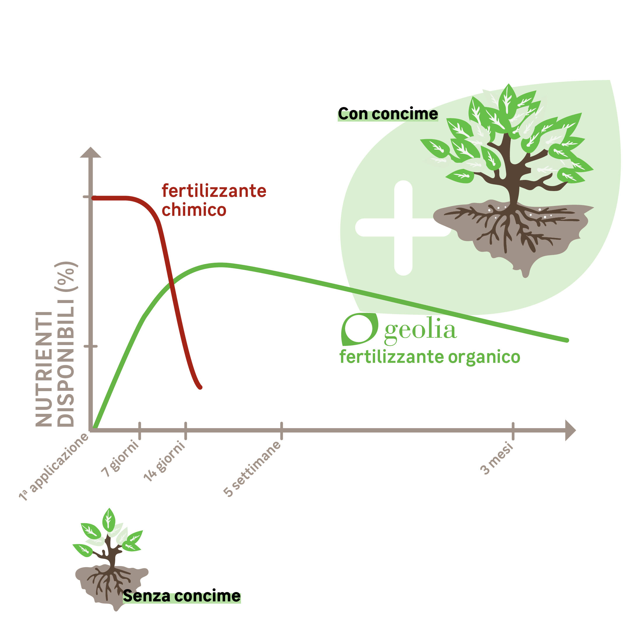 Concime granulato GEOLIA per conifere e arbusti BIO 2 kg - 4