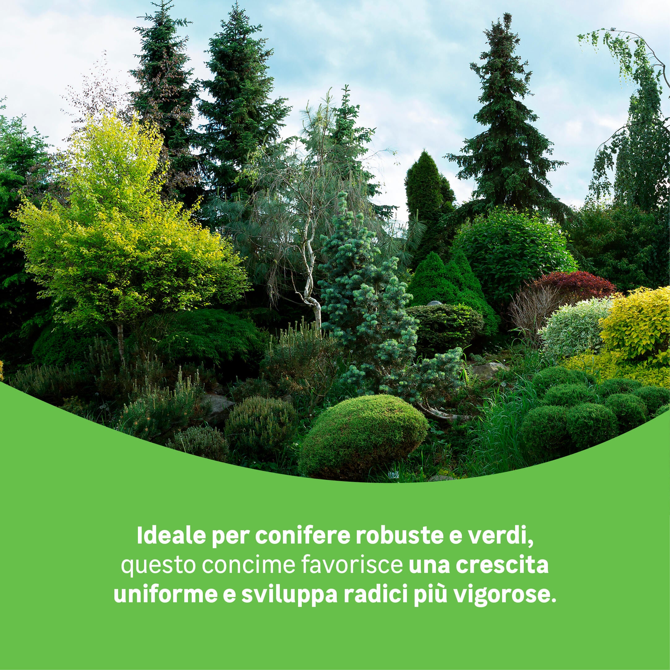 Concime granulato GEOLIA per conifere e arbusti BIO 2 kg - 3