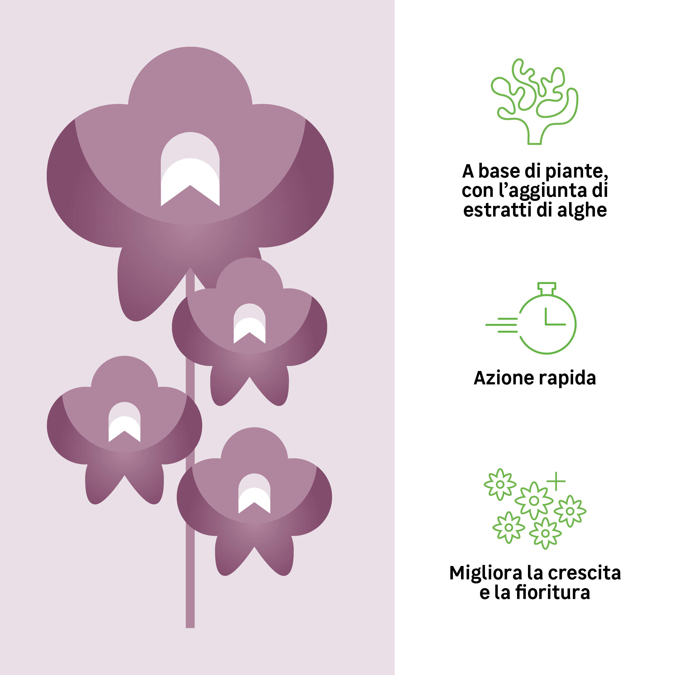 Concime liquido GEOLIA per pianta fiorita BIO Orchidee 1 L - 2