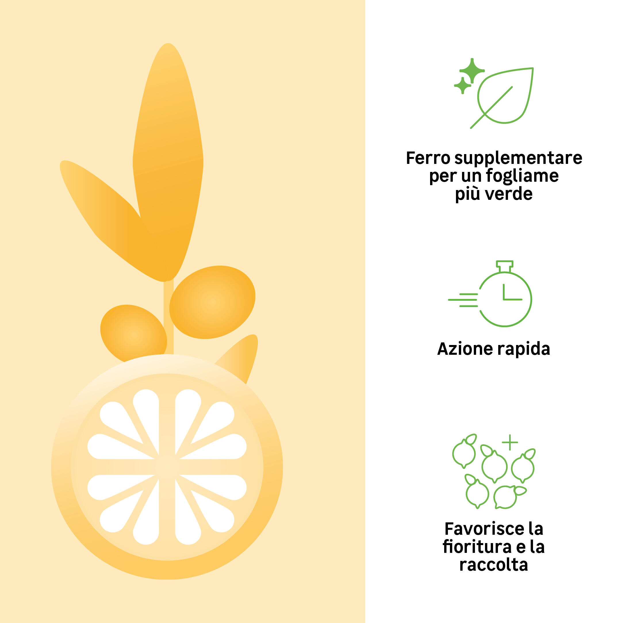 Concime liquido GEOLIA per pianta mediterranea BIO Agrumi e piante mediterranee 1 L - 2