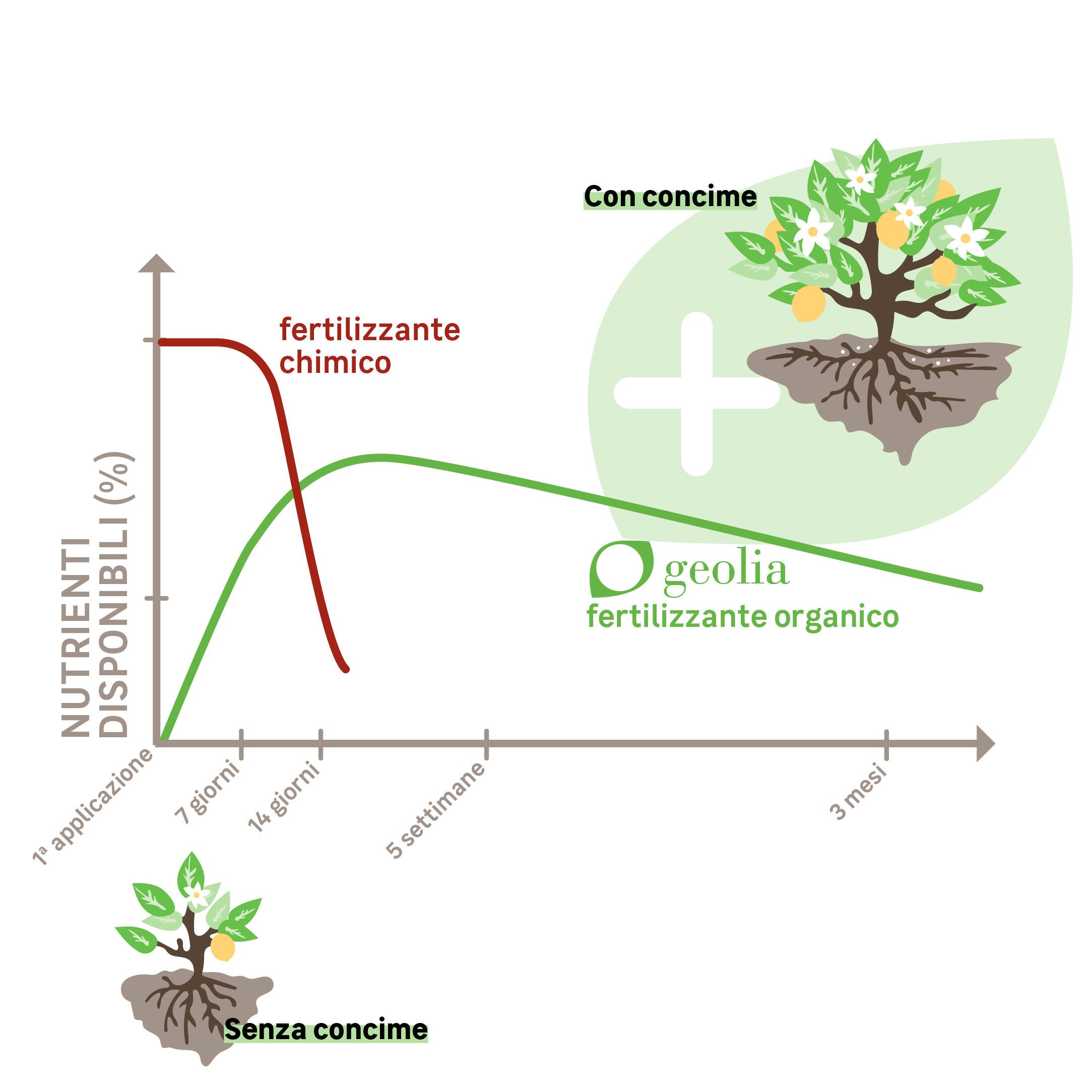 Concime granulato GEOLIA per agrumi e piante mediterranee BIO Agrumi e piante mediterranee 1 kg - 4
