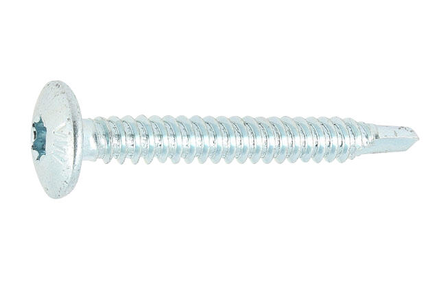 Vis autoforeuse acier zingué Diam. 6,3 x 25 mm Boîte de 250 - VISWOOD - 2