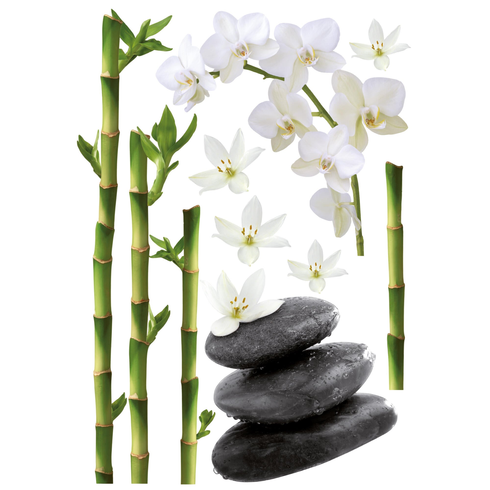 Sticker décoratif zen, multicolore x 48 cm - 3