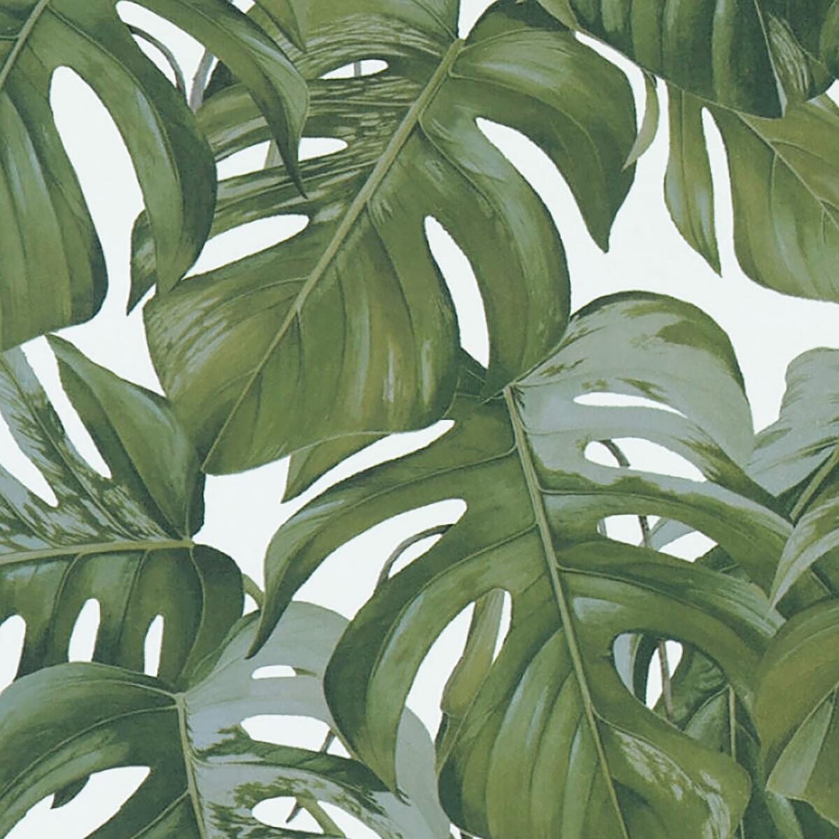 Carta da parati Foglie Jungla Tropicali verde scuro, 53 cm x 10 m - 2