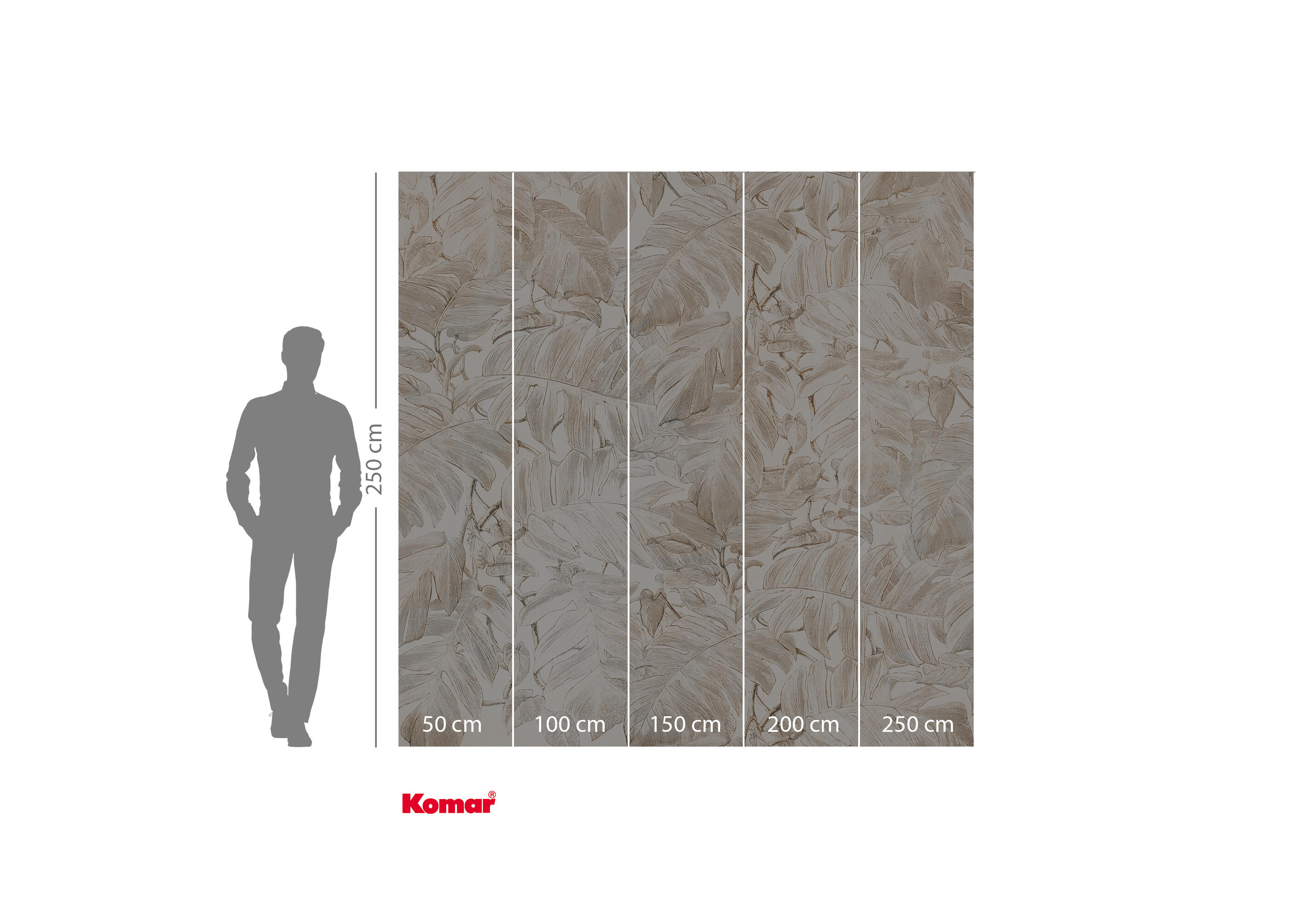 Papier peint panoramique hojas beige l.250 x H.250 cm - 3